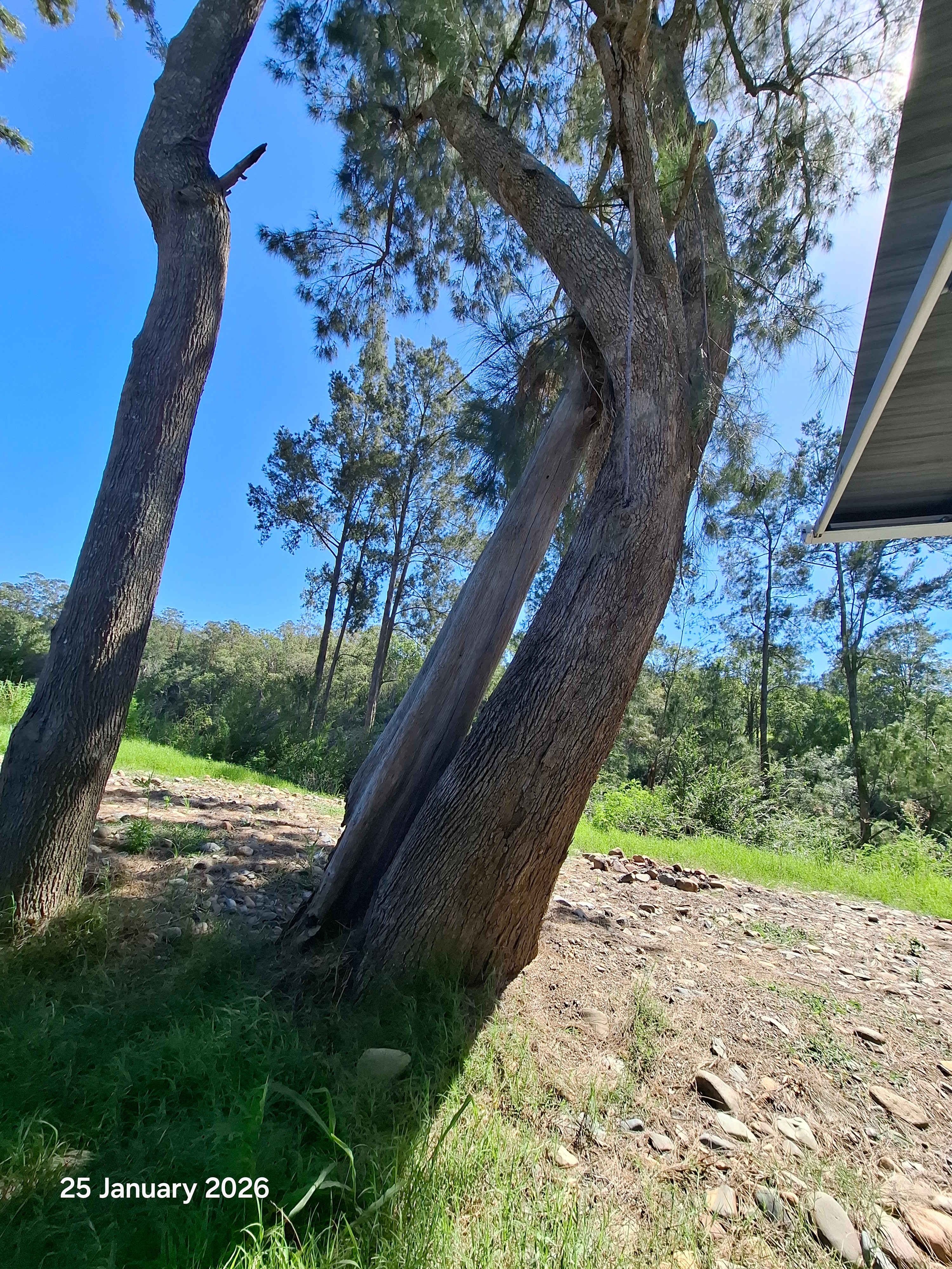 Long Flat Pub Riverside Camping