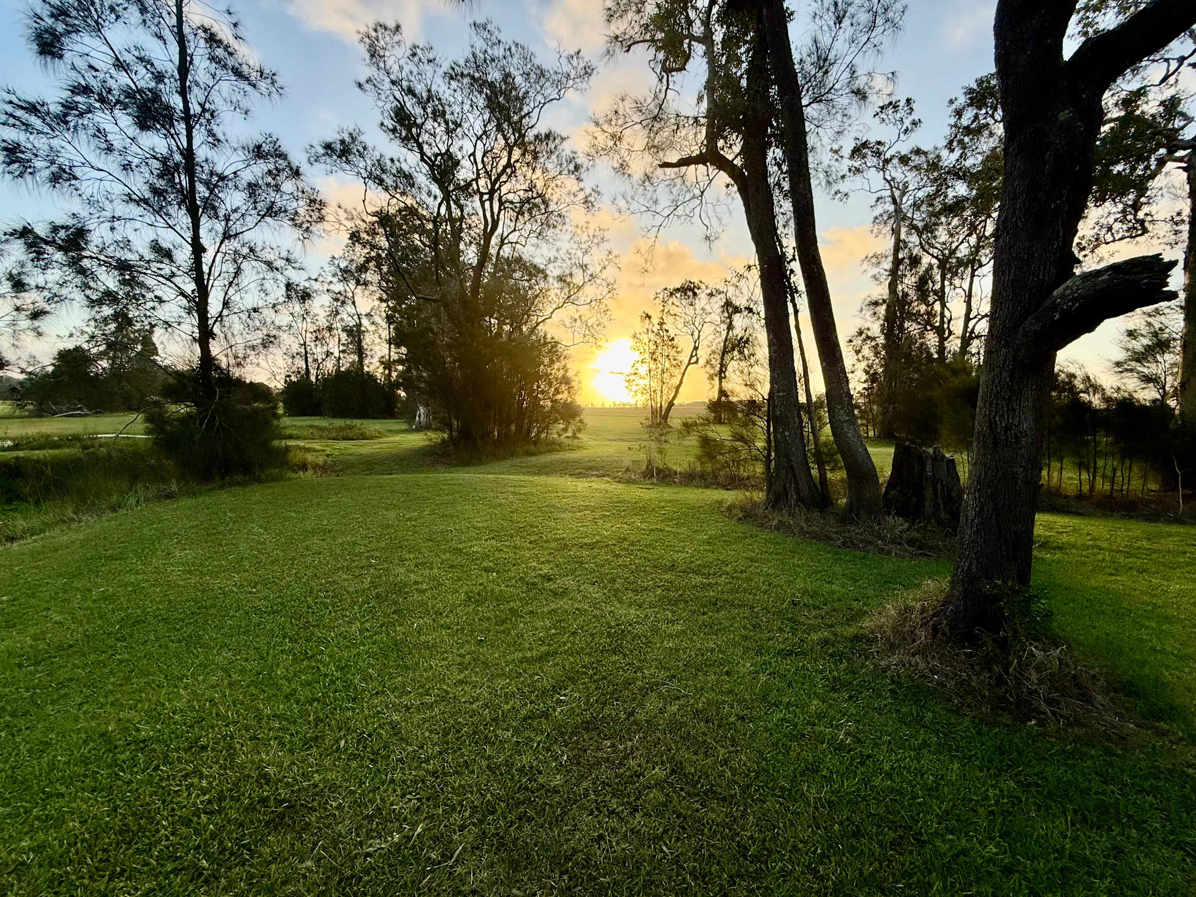 Playstation Campsite