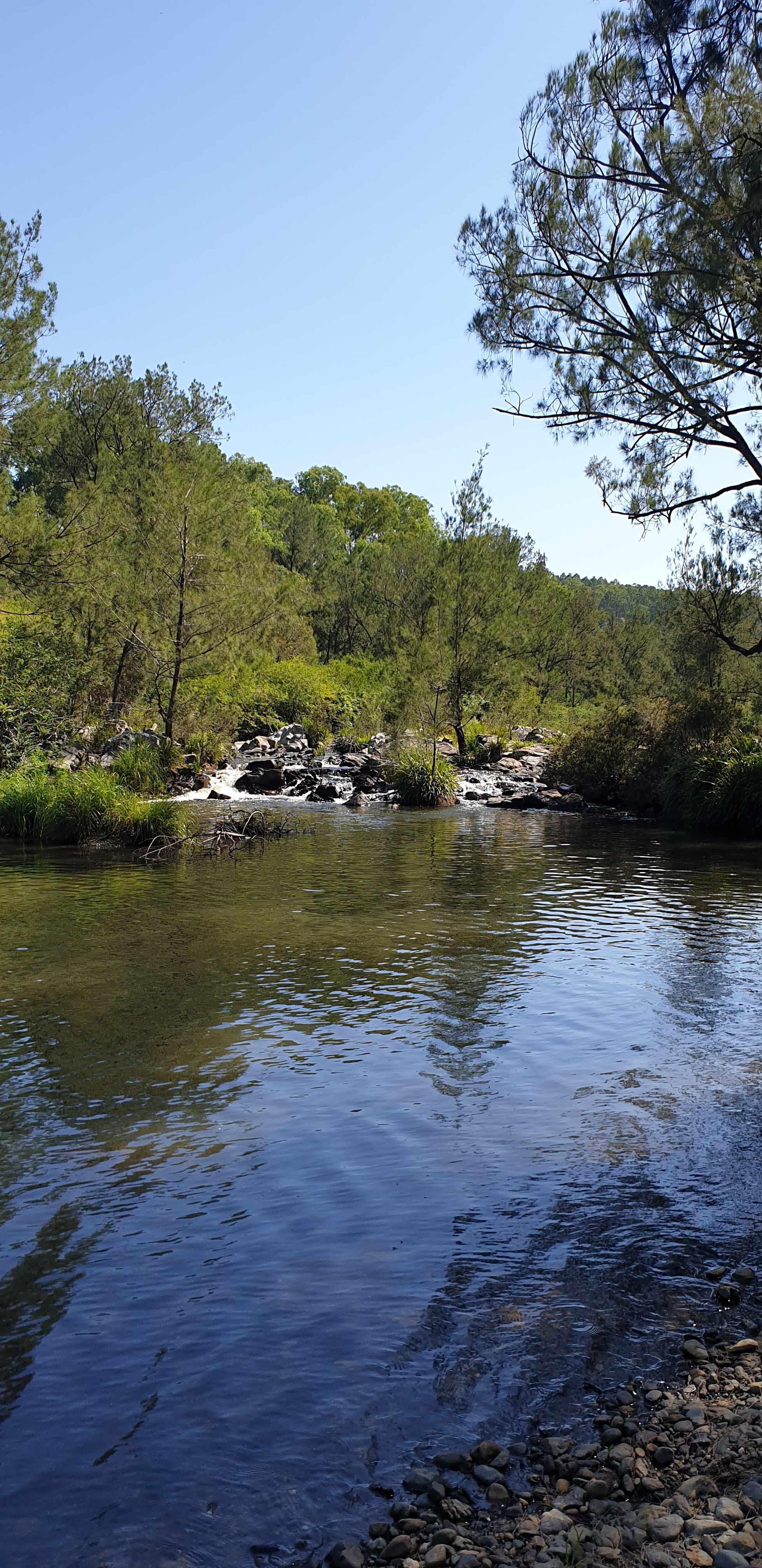 Wild Nymboida Camping Dorrigo
