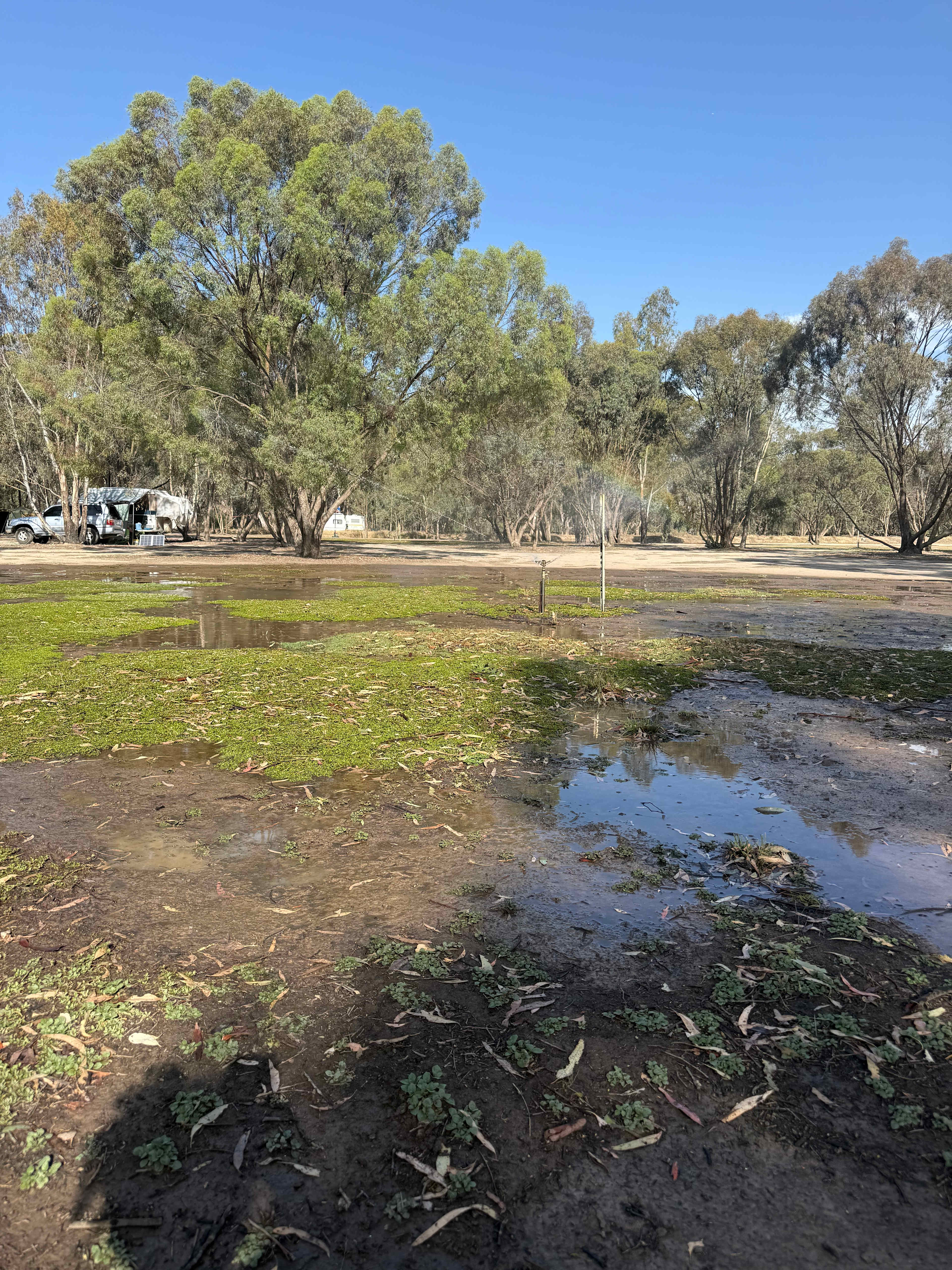 Sprinklers for hot days