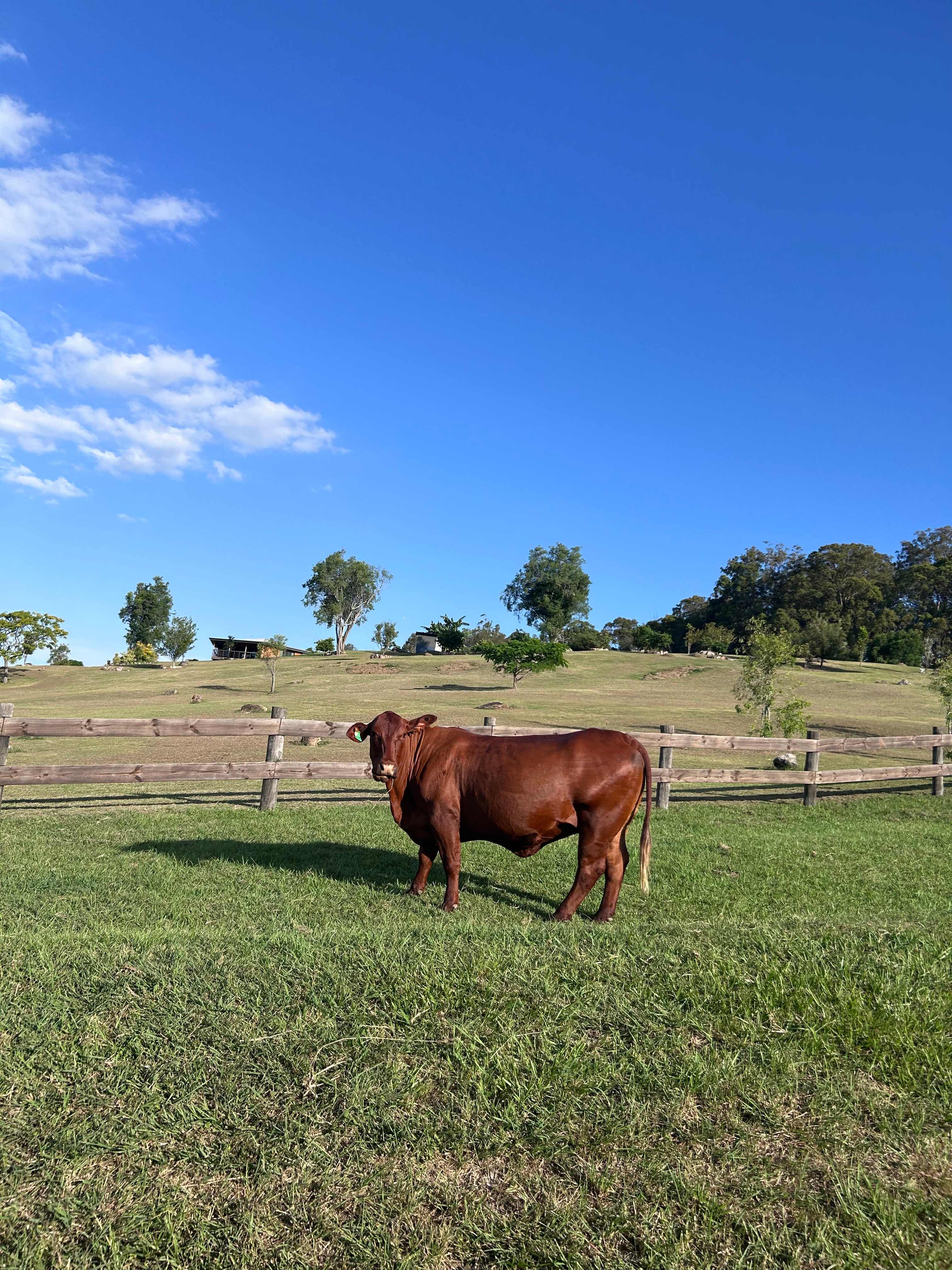 Kingsland Camping Mt. Maroon