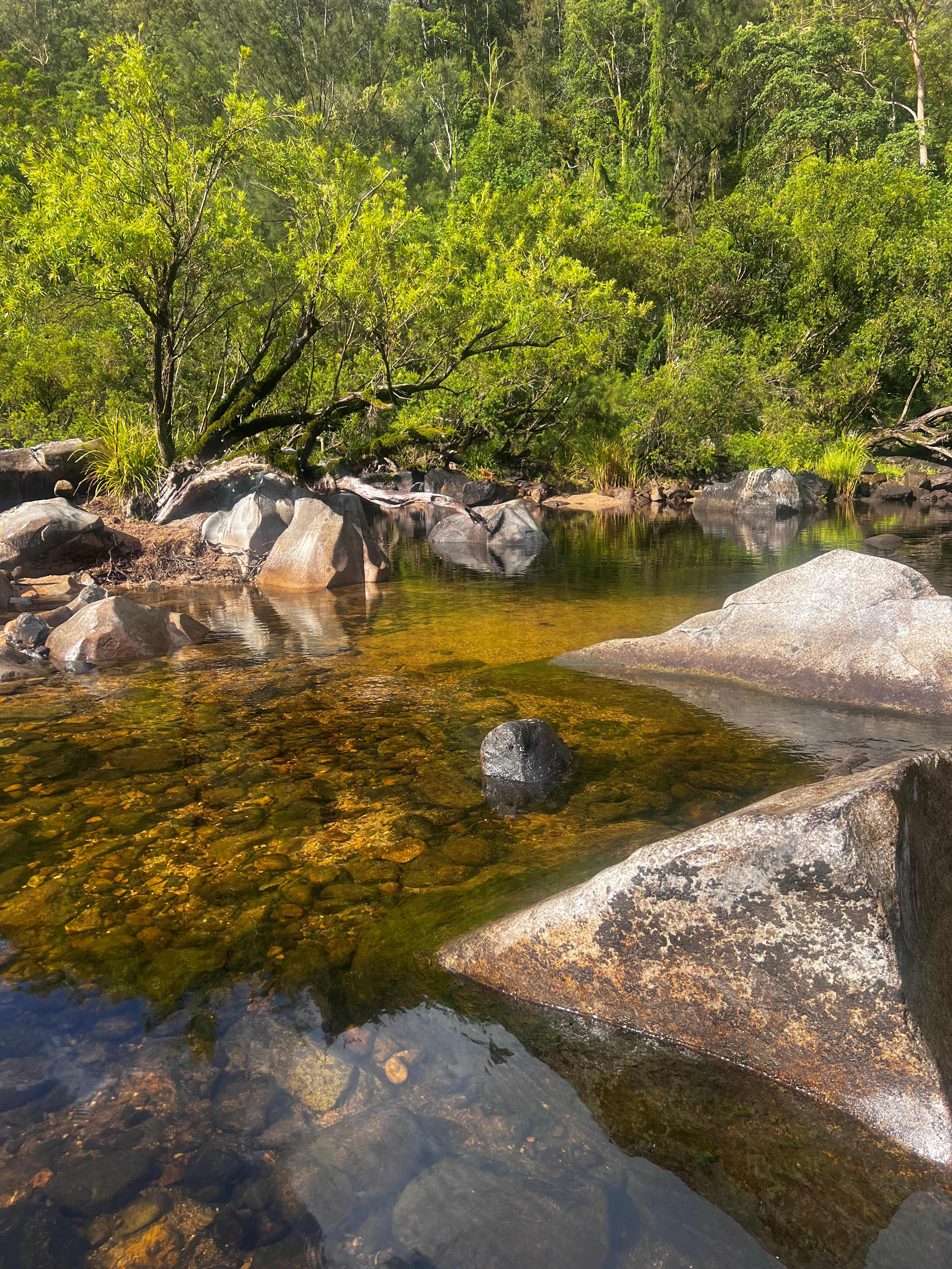 Eagle Ridge Bush Retreat