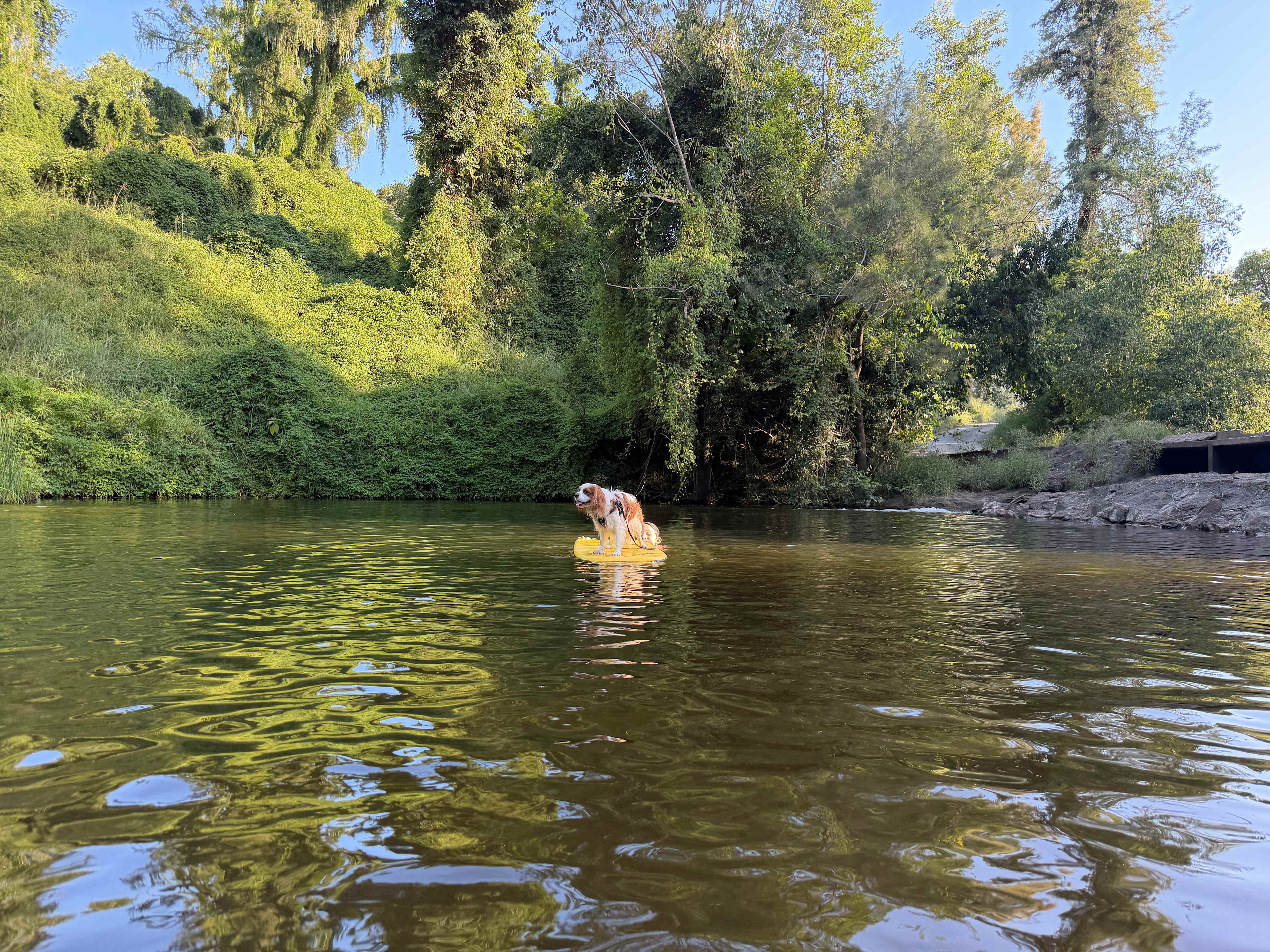 Camp Life By The Creek
