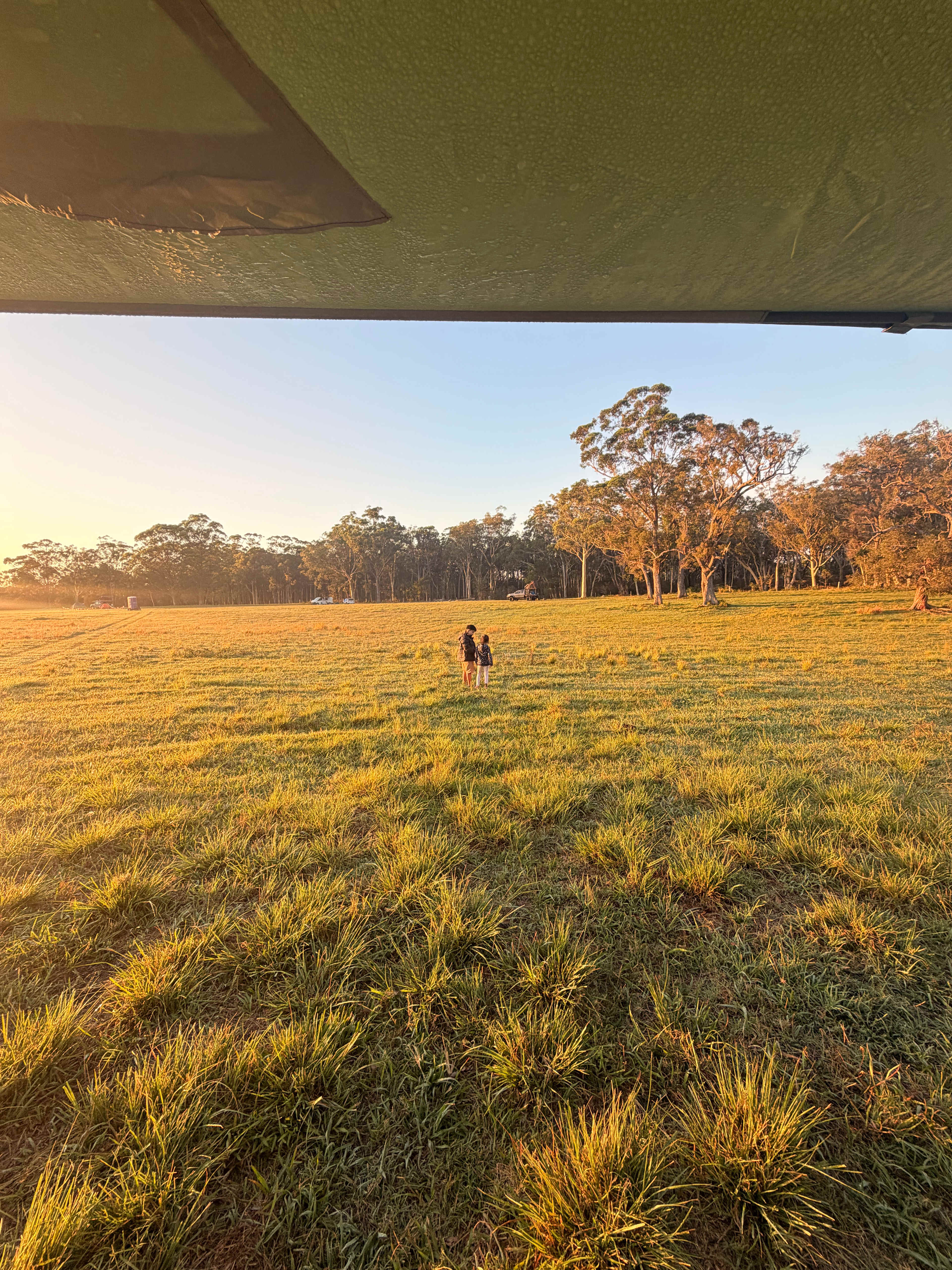 The Wandy Donkey Camp