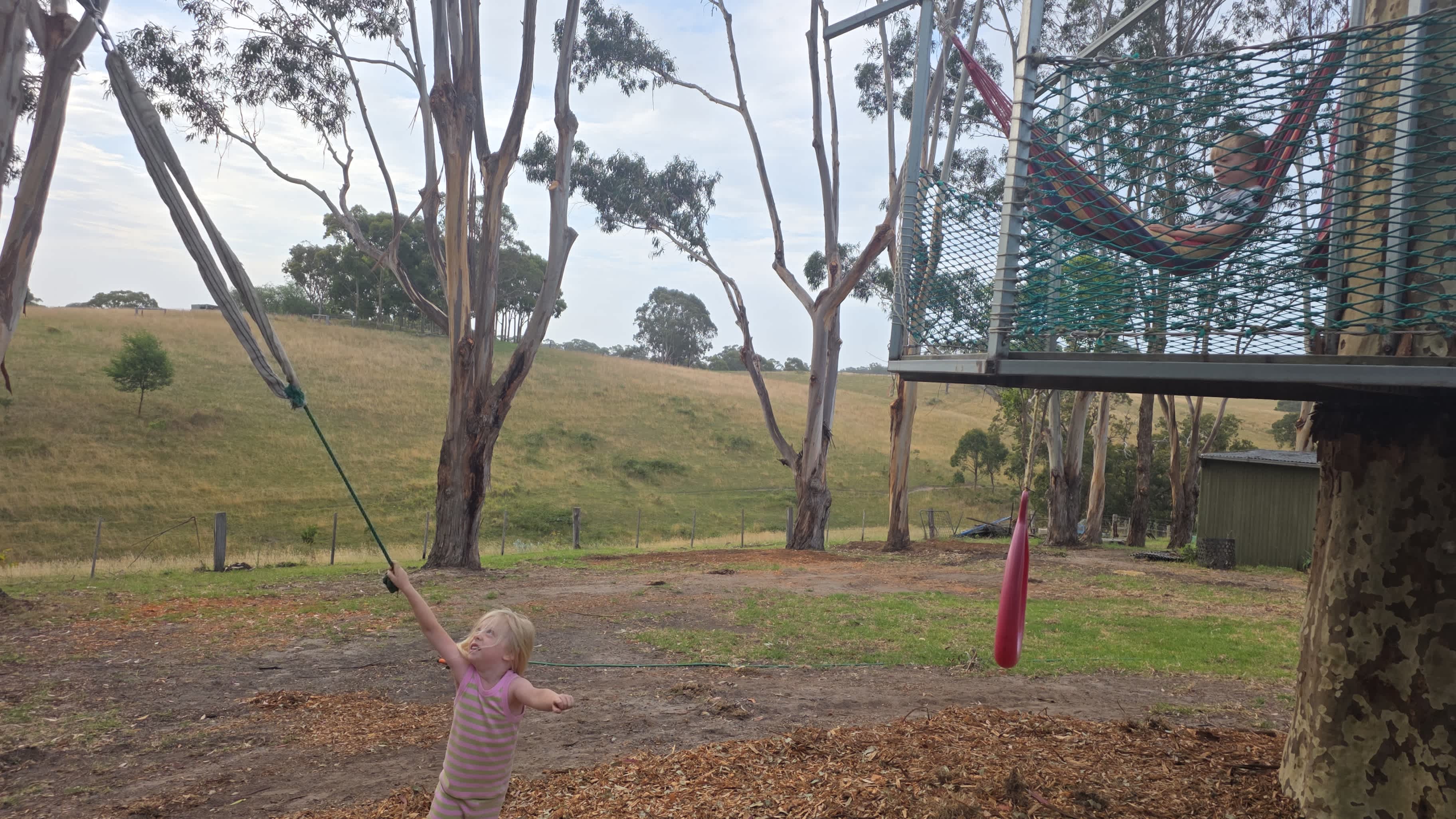 Home among the Gumtrees