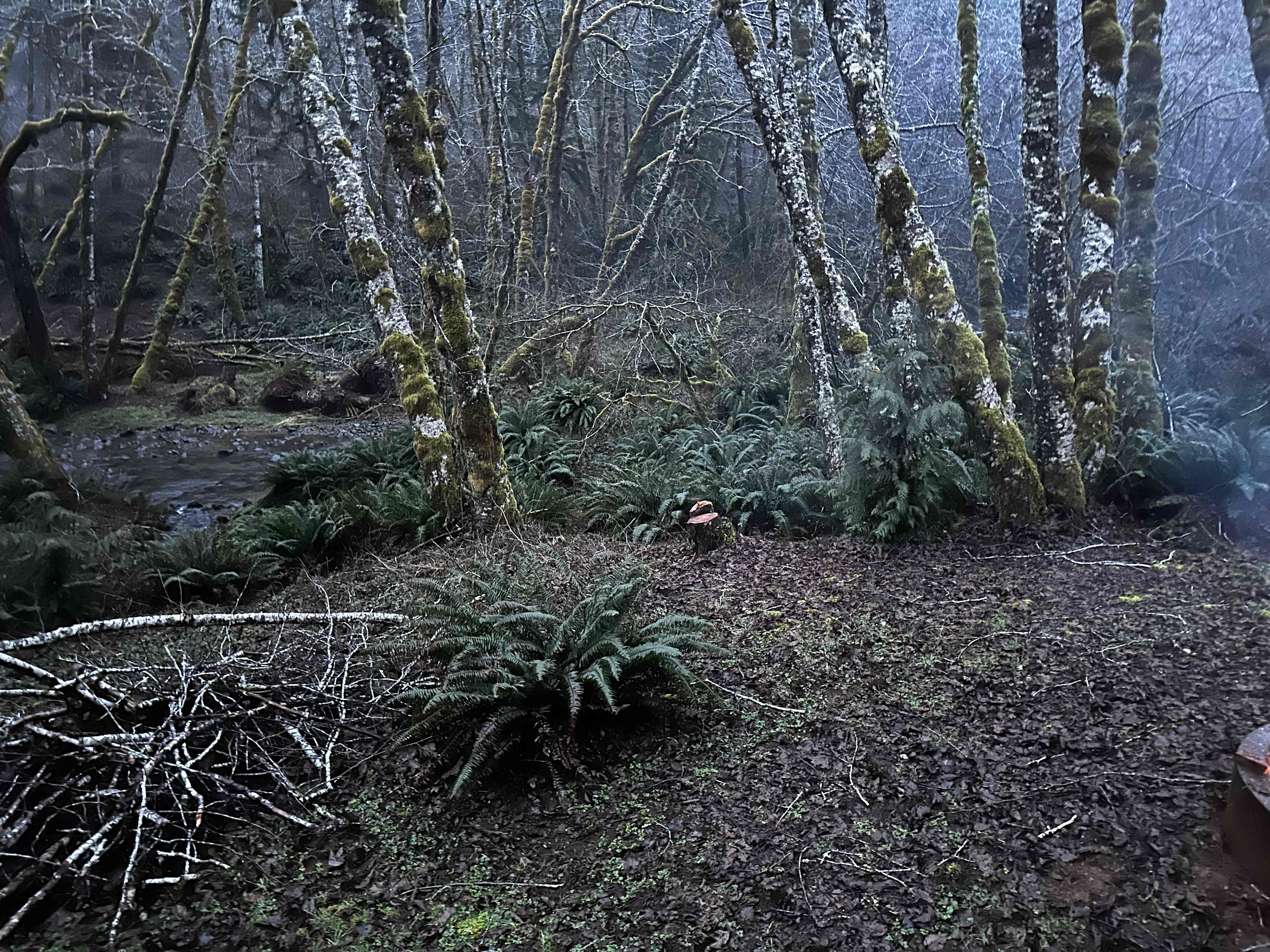 Powder Creek Campground