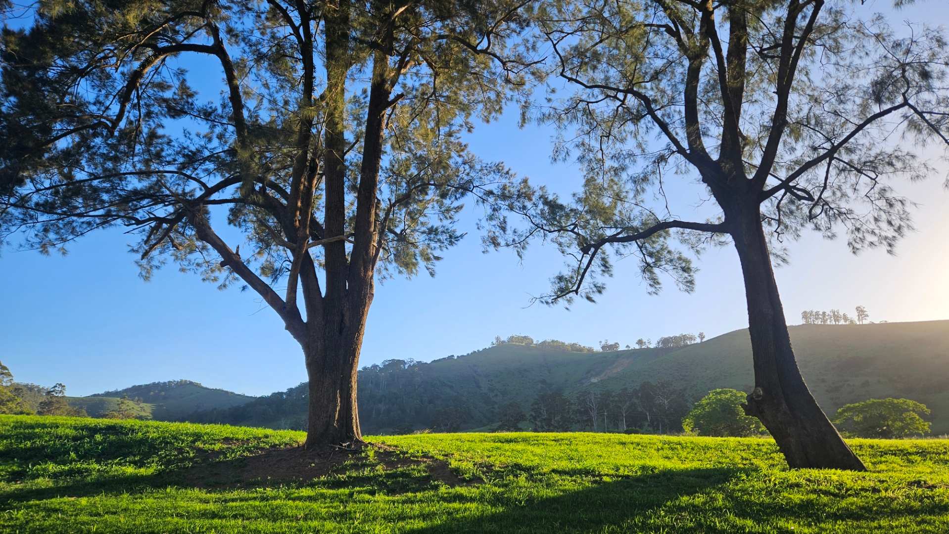 Mountainview Long Flat