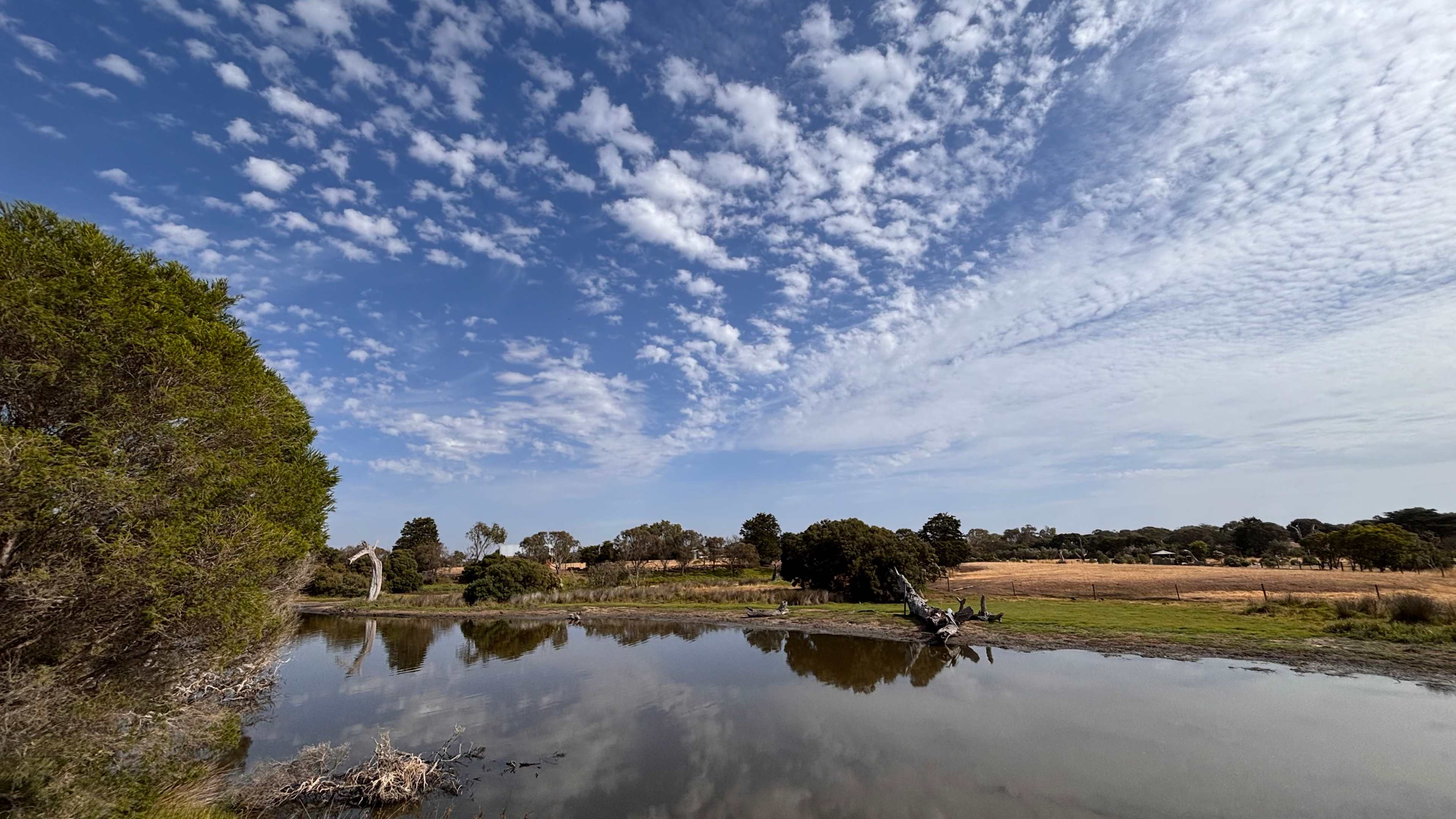 View from the bedroom