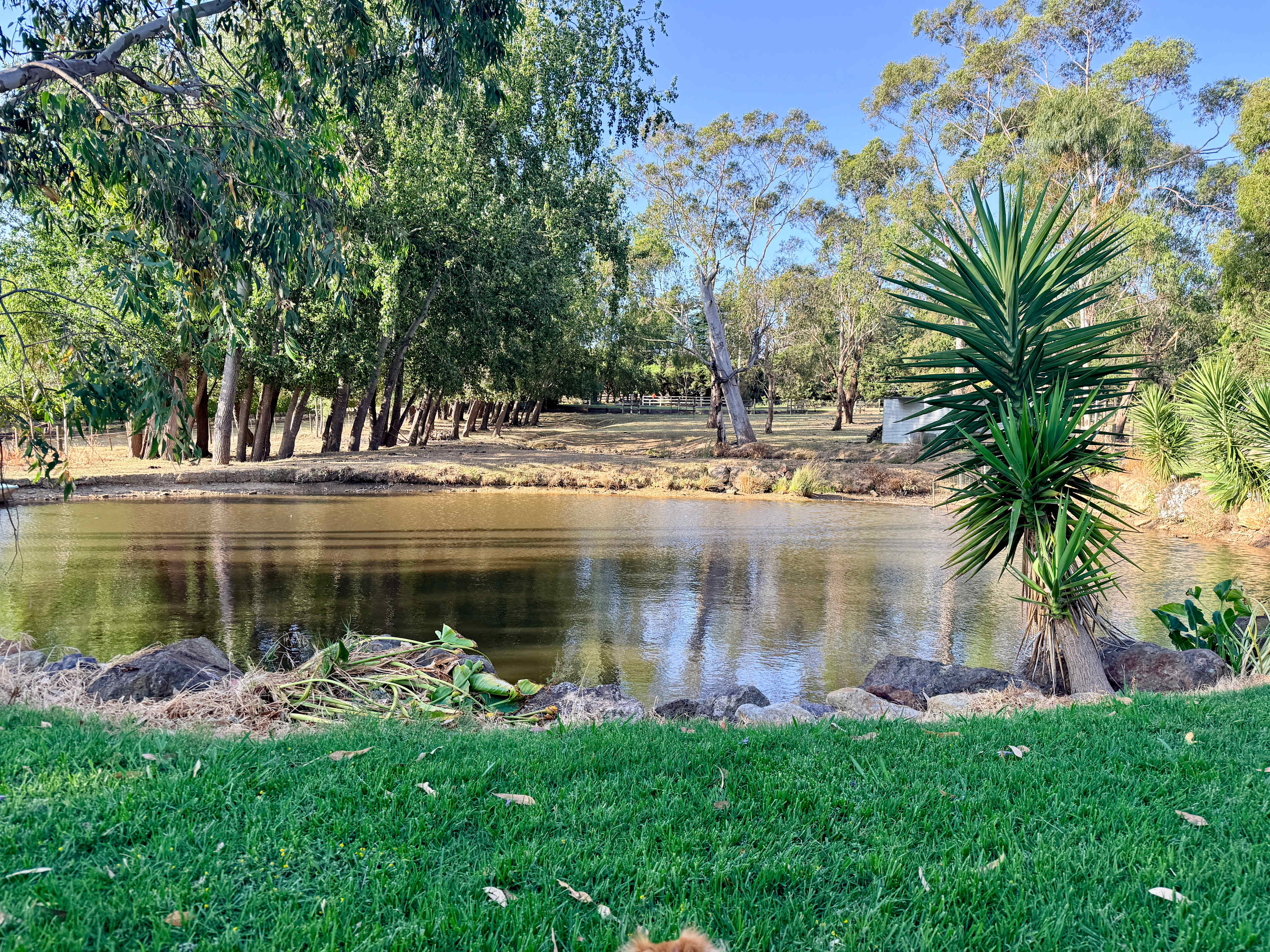 Yarra Valley Vineyard Views