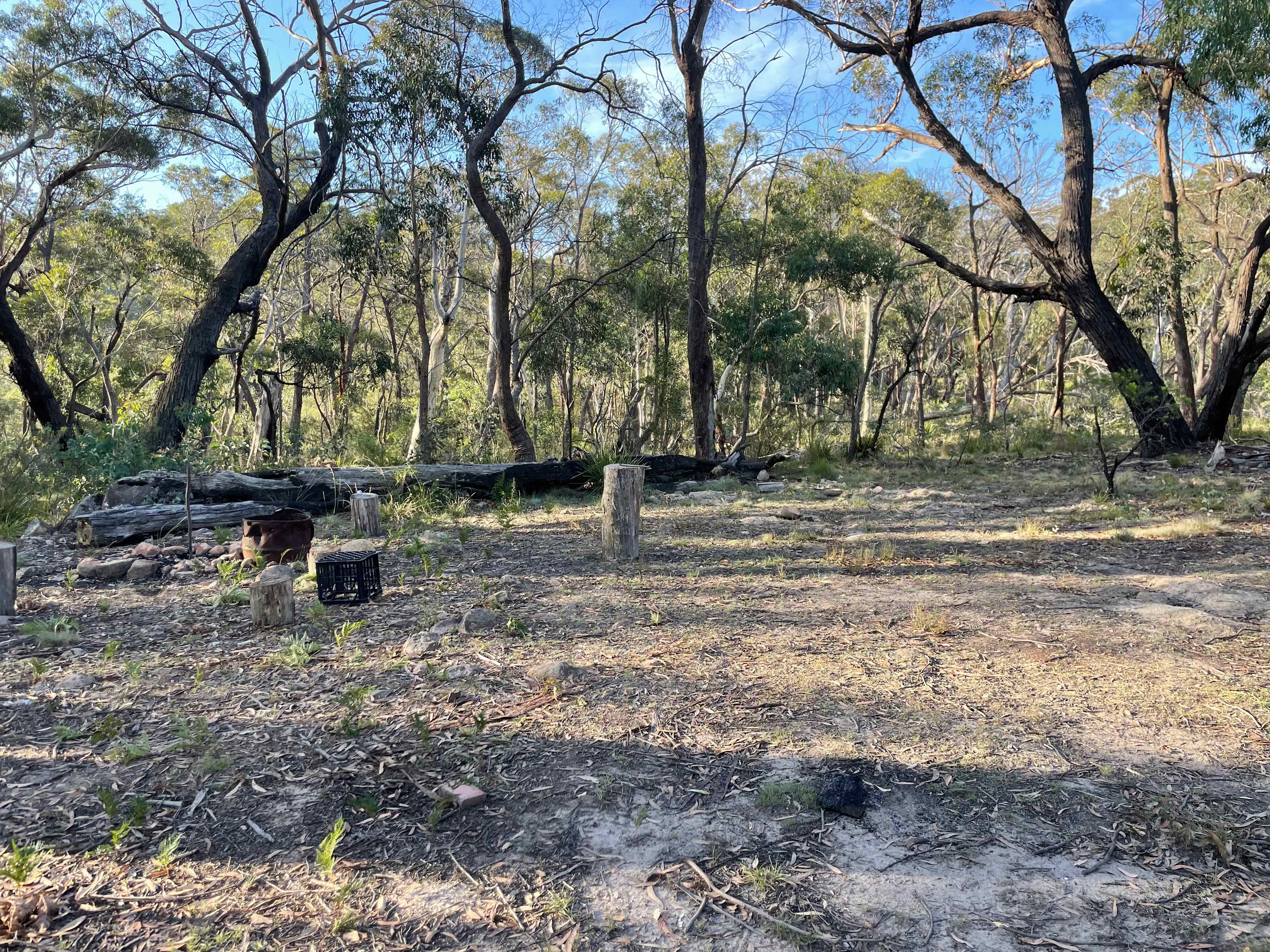 Monastery of 11 Strings