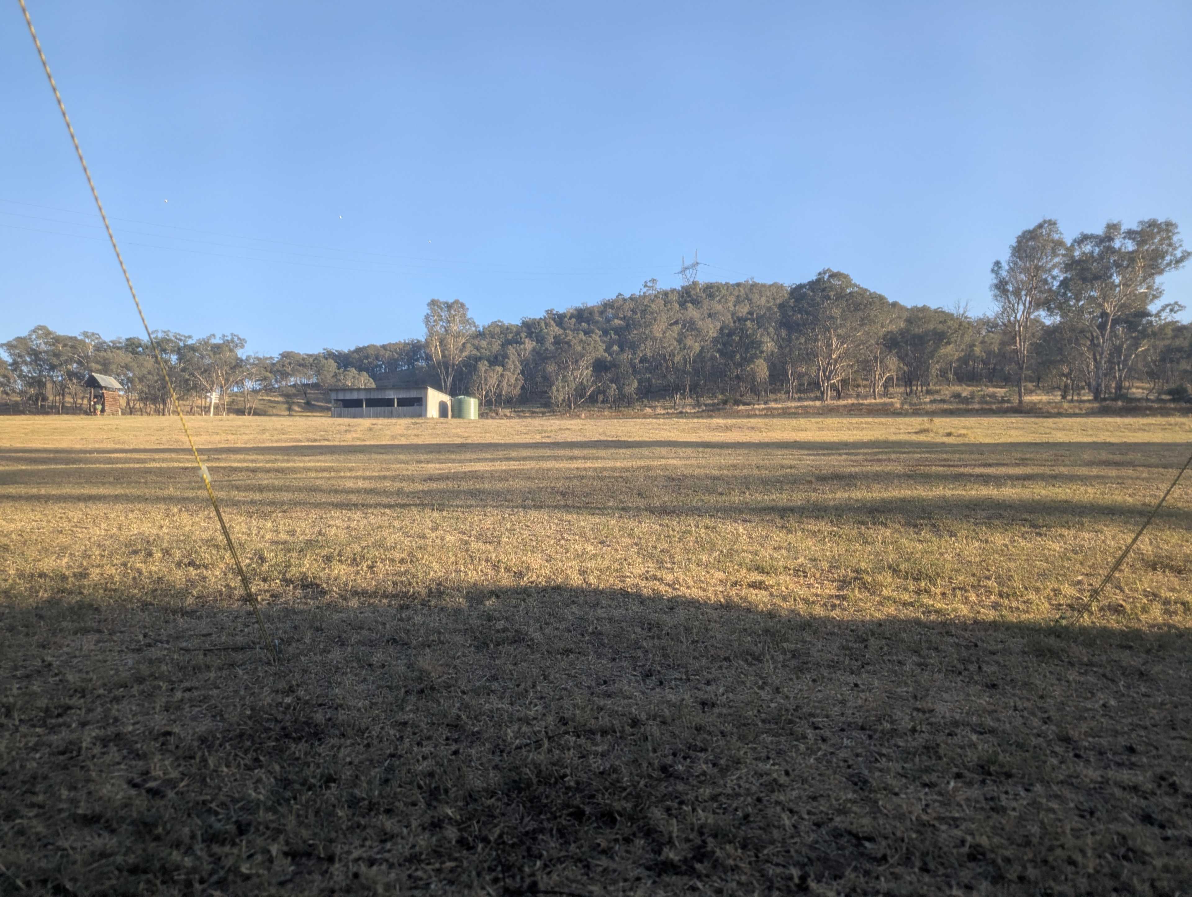 Morning view from the tent back up the hill.