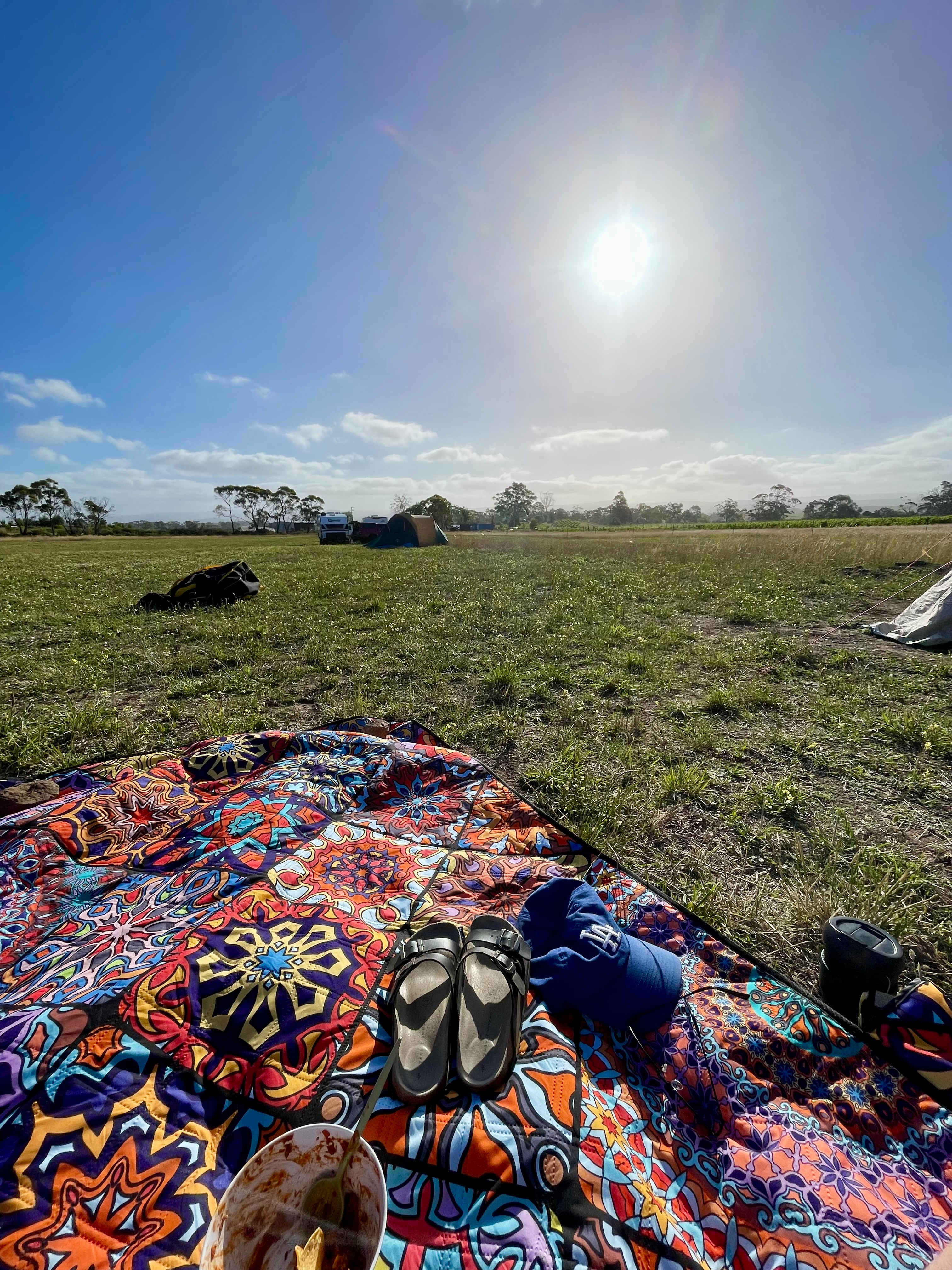 Craigie Knowe Vineyard