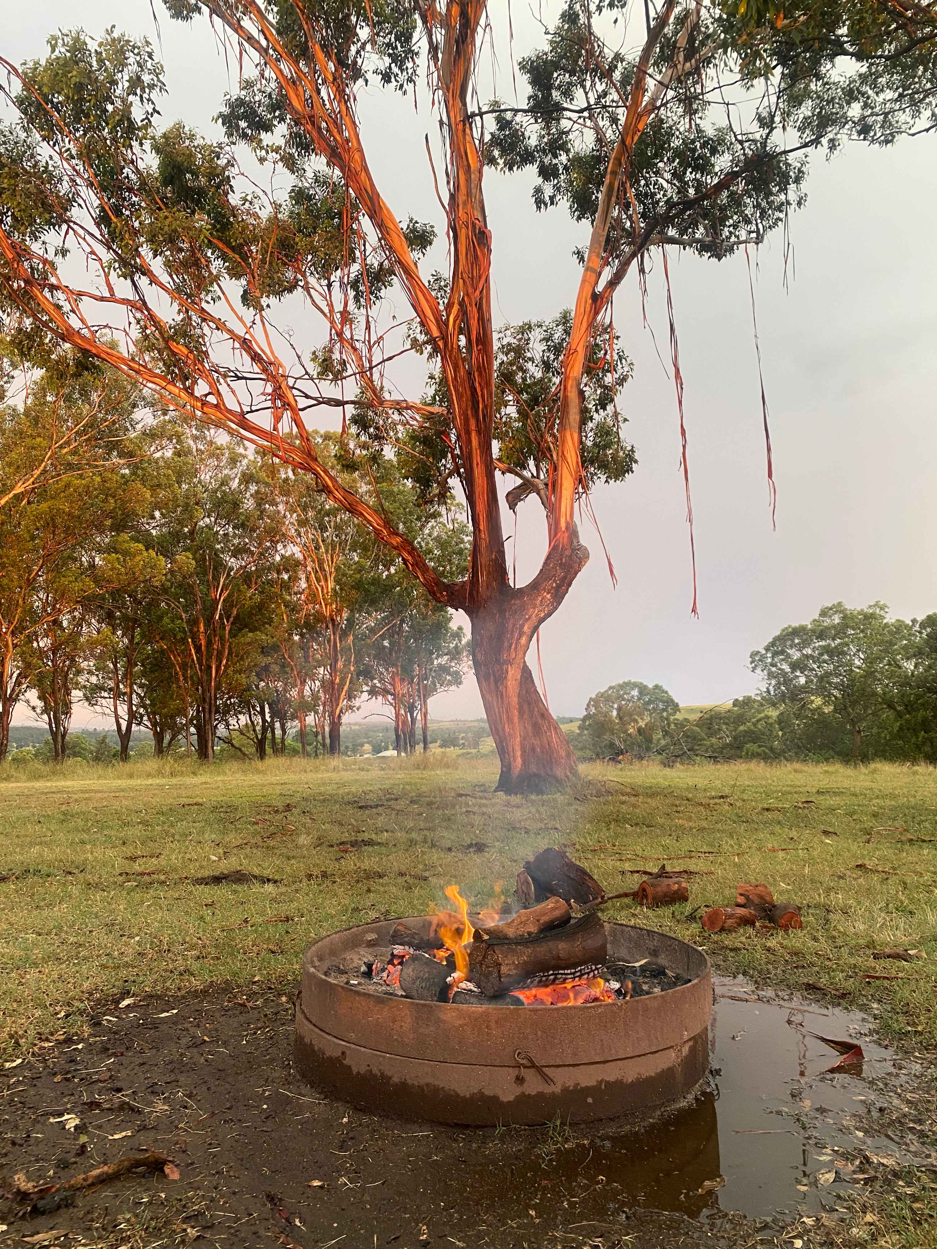 Empty Pockets creek-side Farm Stay
