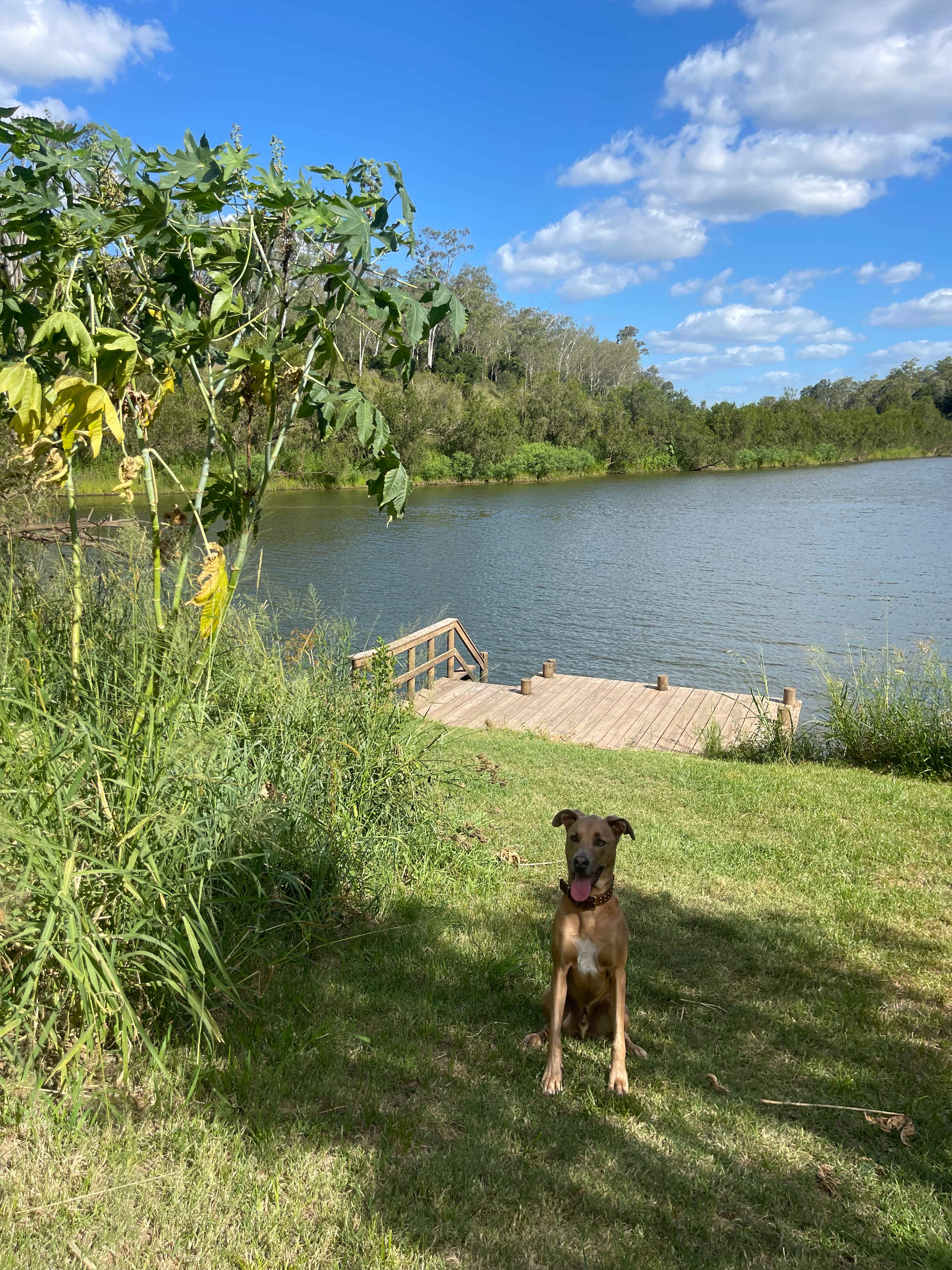 Weefarm Brisbane River Camping