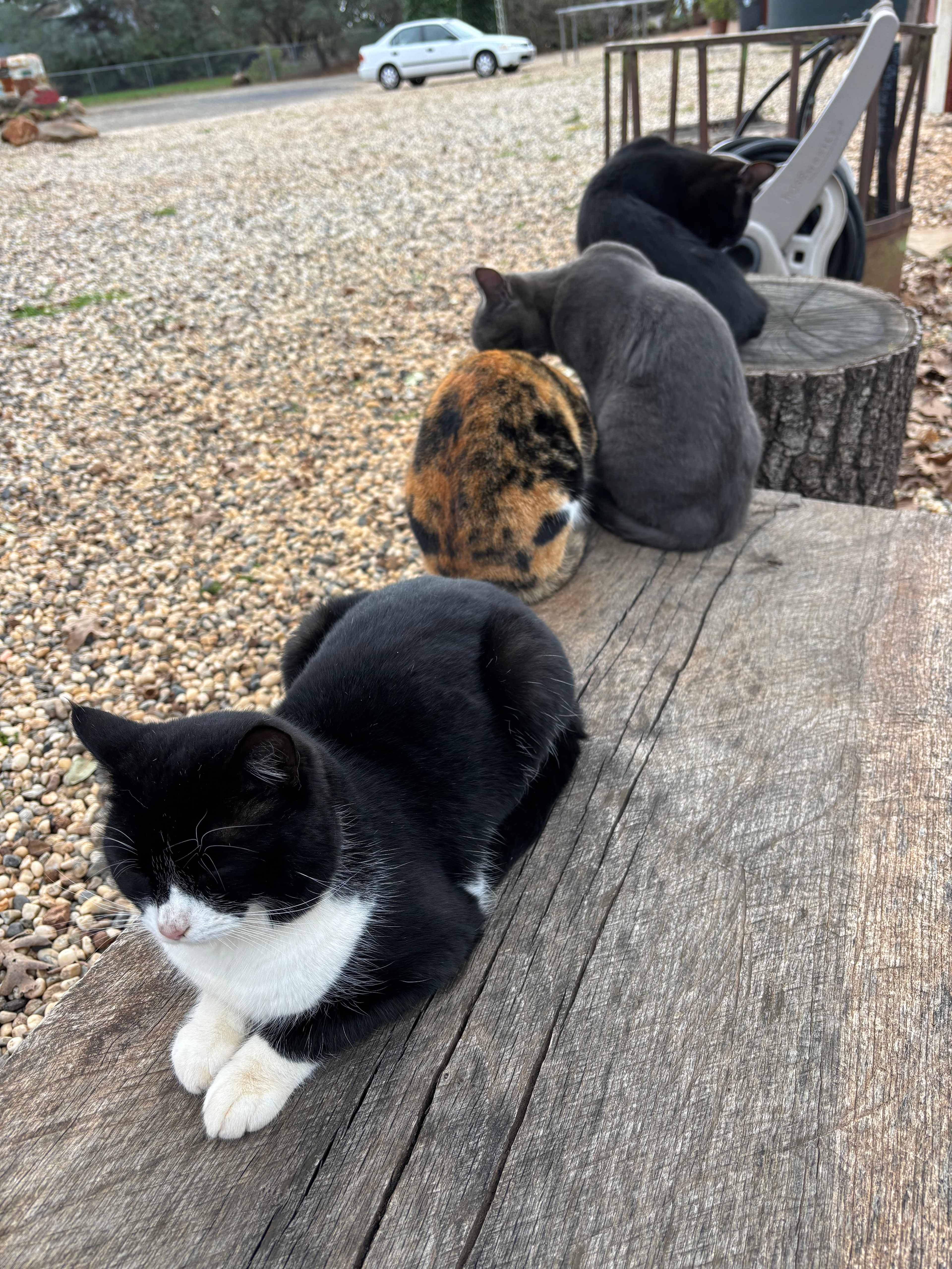 Tambo Ranch Tiny House Village