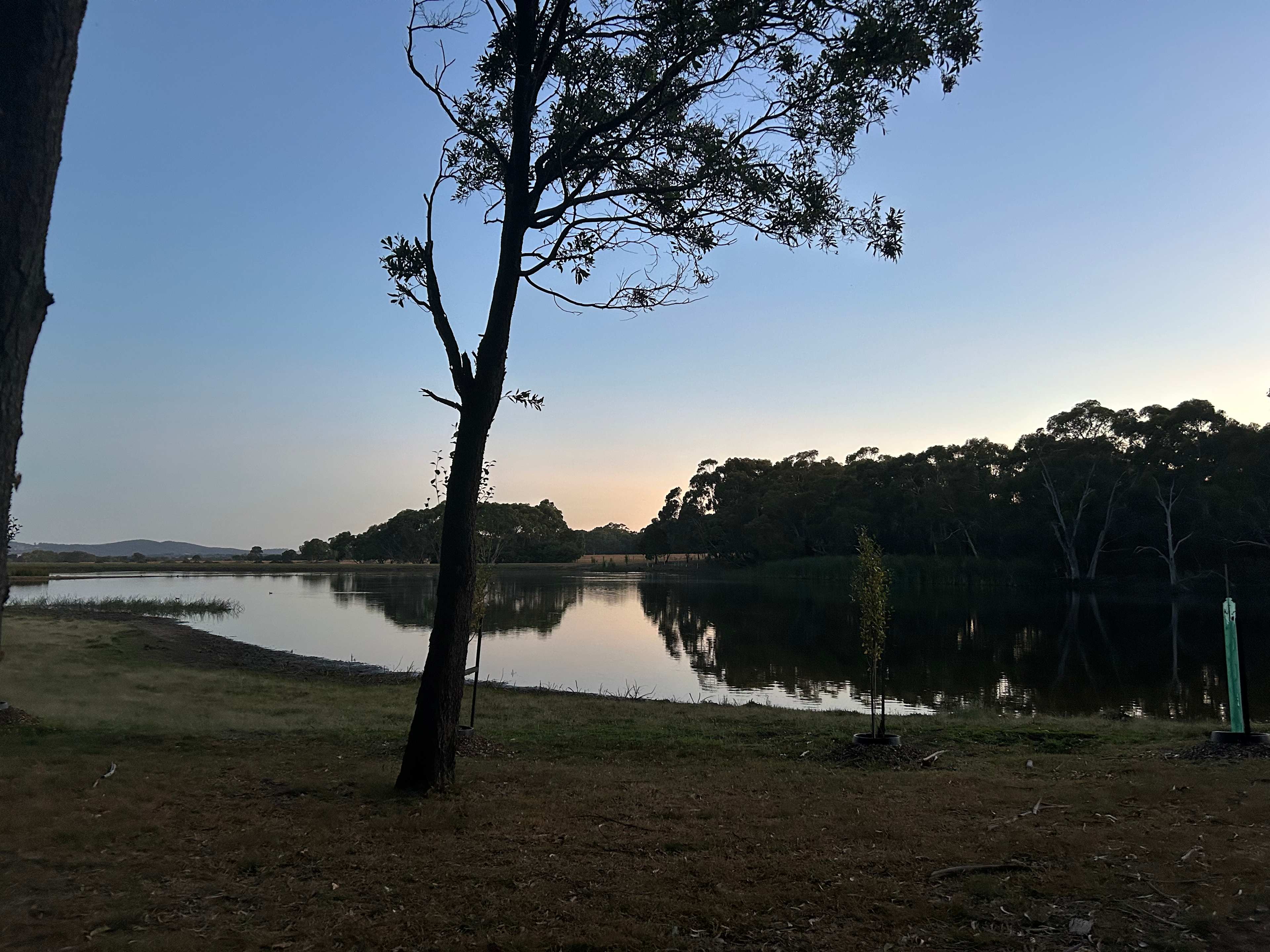 Lancefield Lake's A WETLANDS WONDER