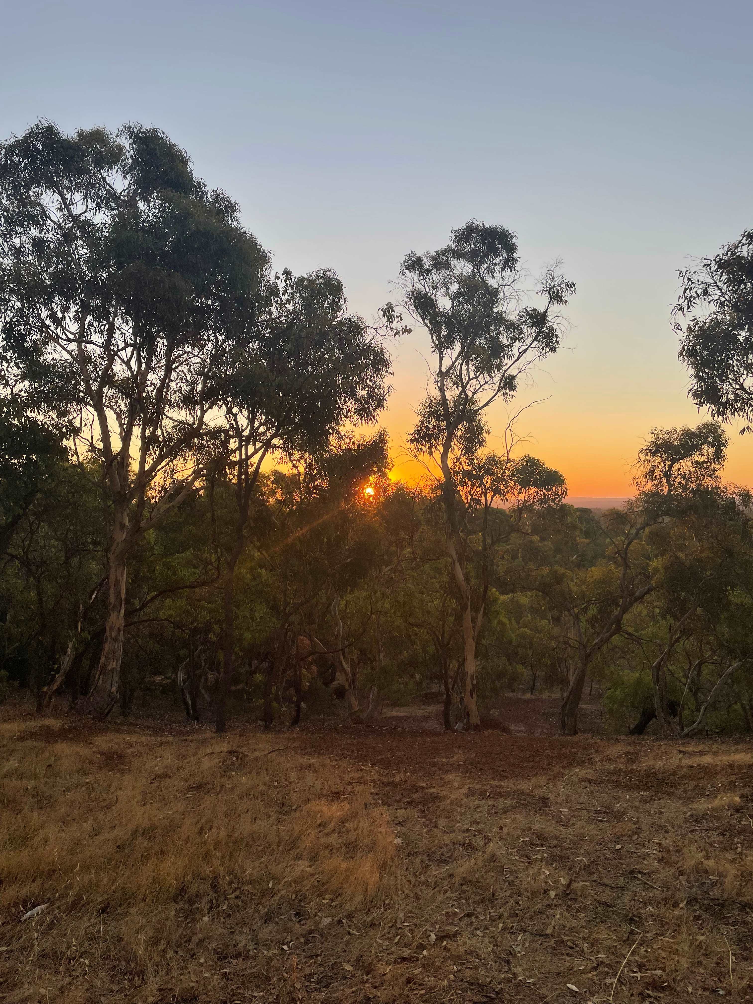 Yarrabah High Country- Jarrahdale