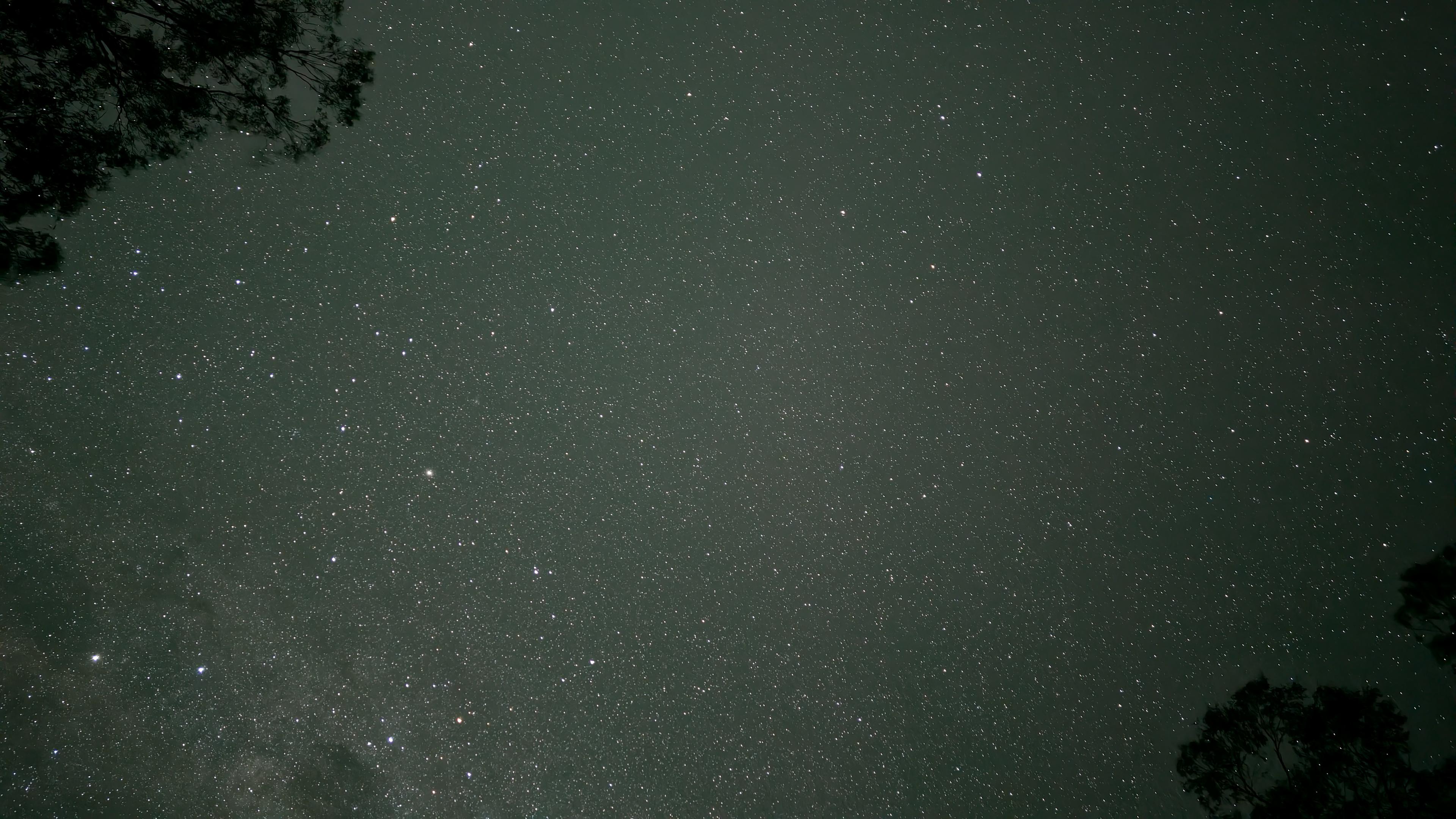 Nellies Glen Camping