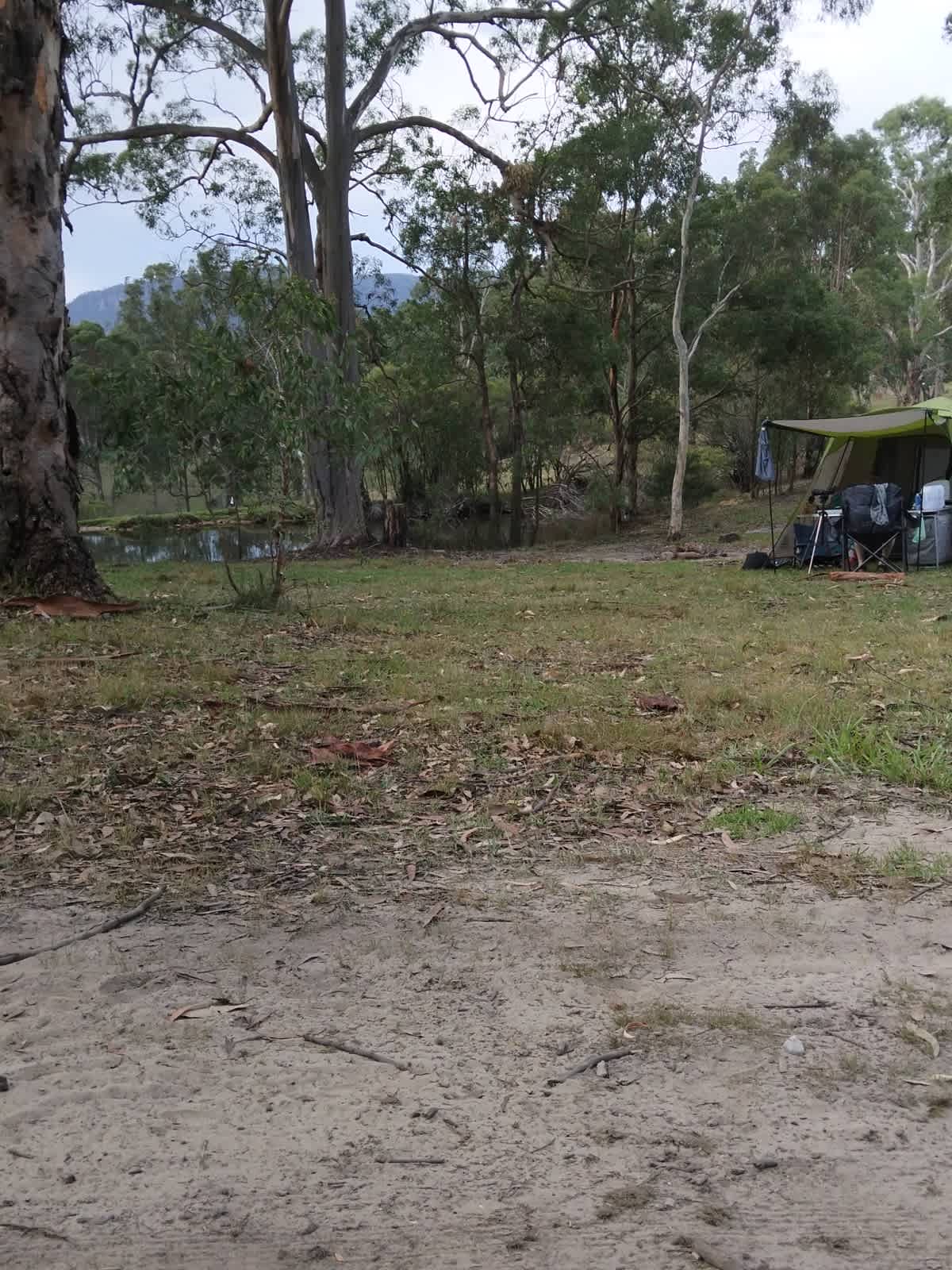Megalong Valley Farm