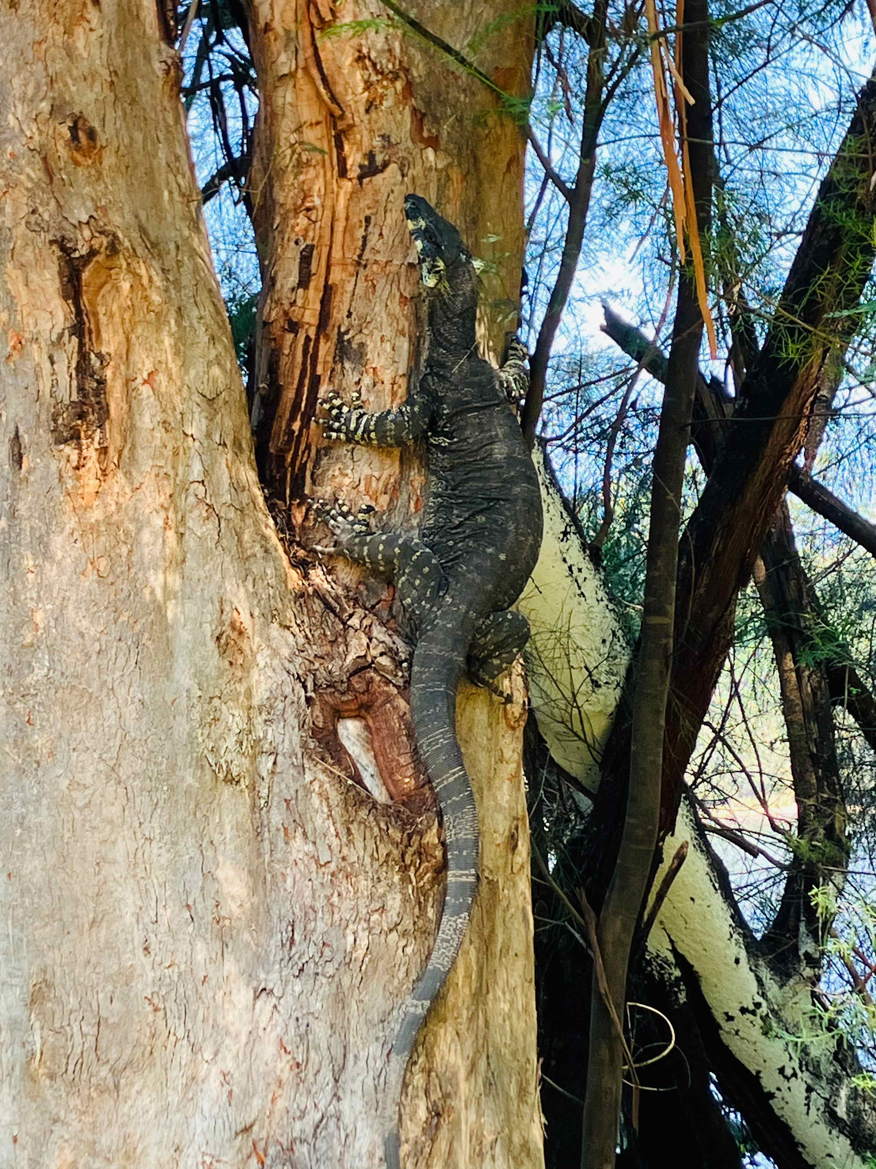 Clyde River Camp Grounds