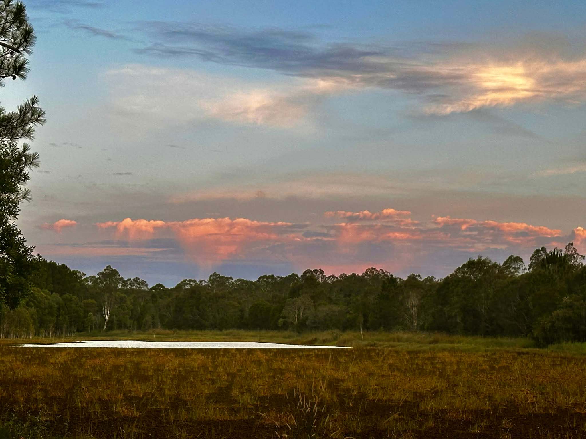 Bushywood at Woodfordskilake