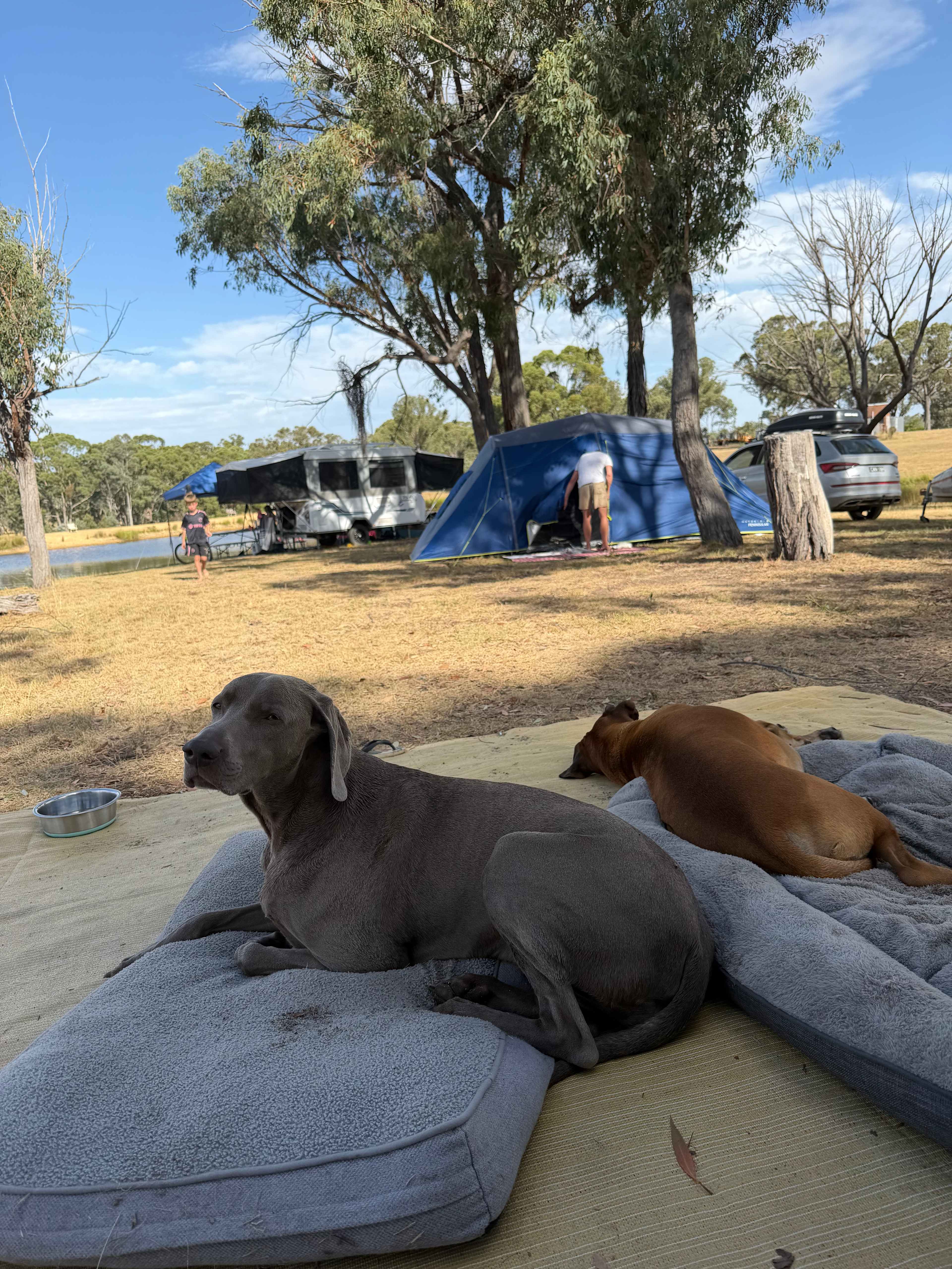 Country Journey, Boxgrove farm