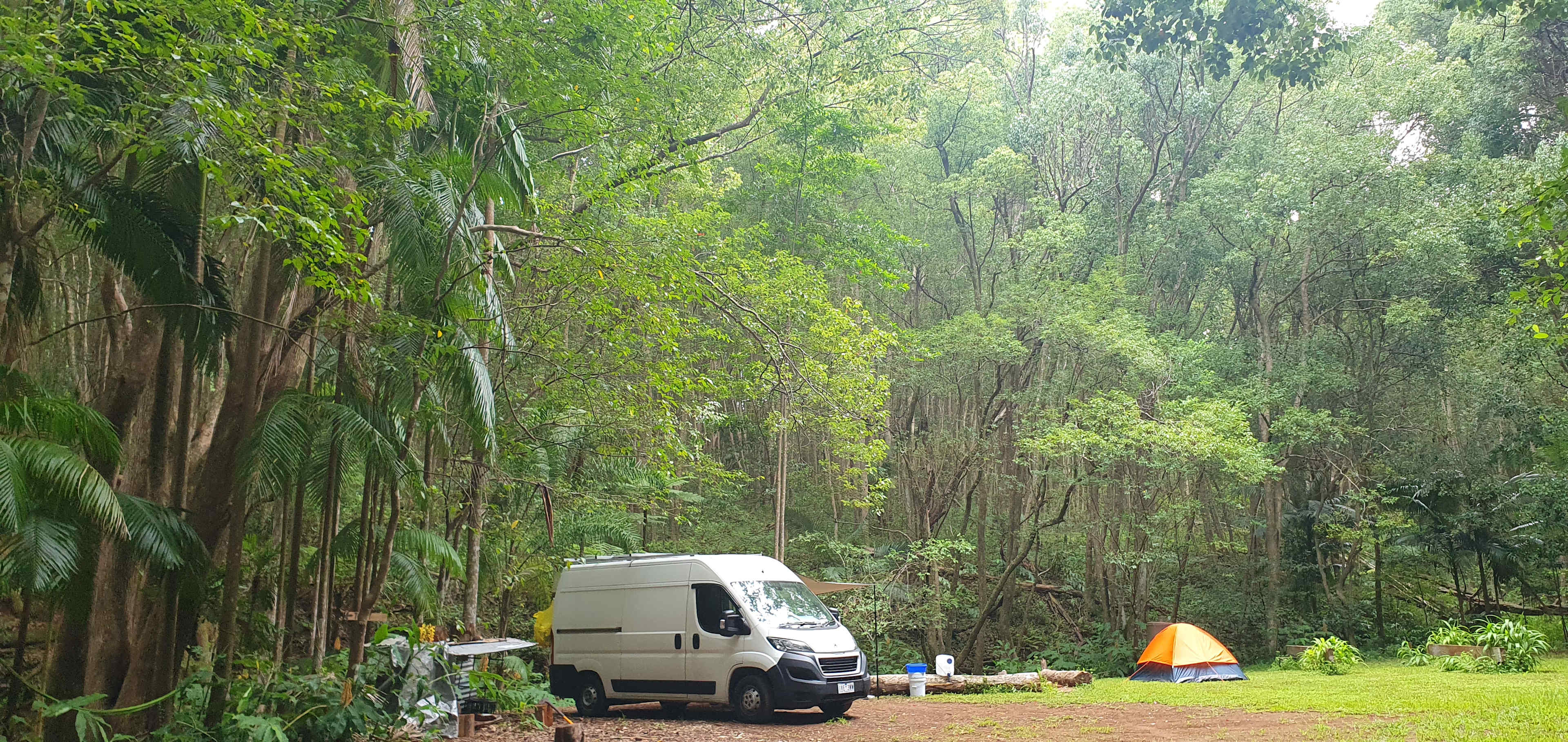 Fern gully Creek, Coorabell