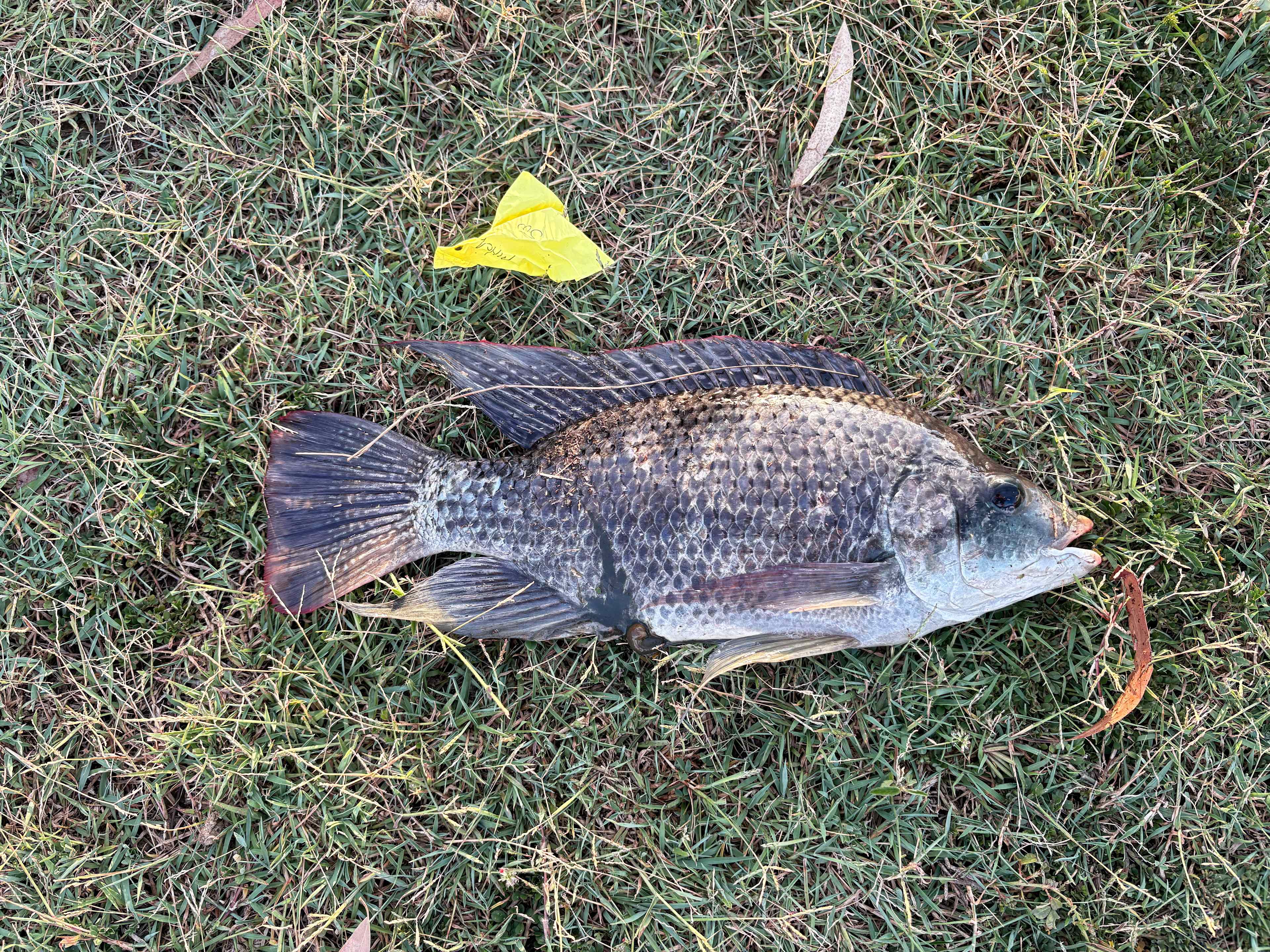 Pointro Bunkhouse and Campground