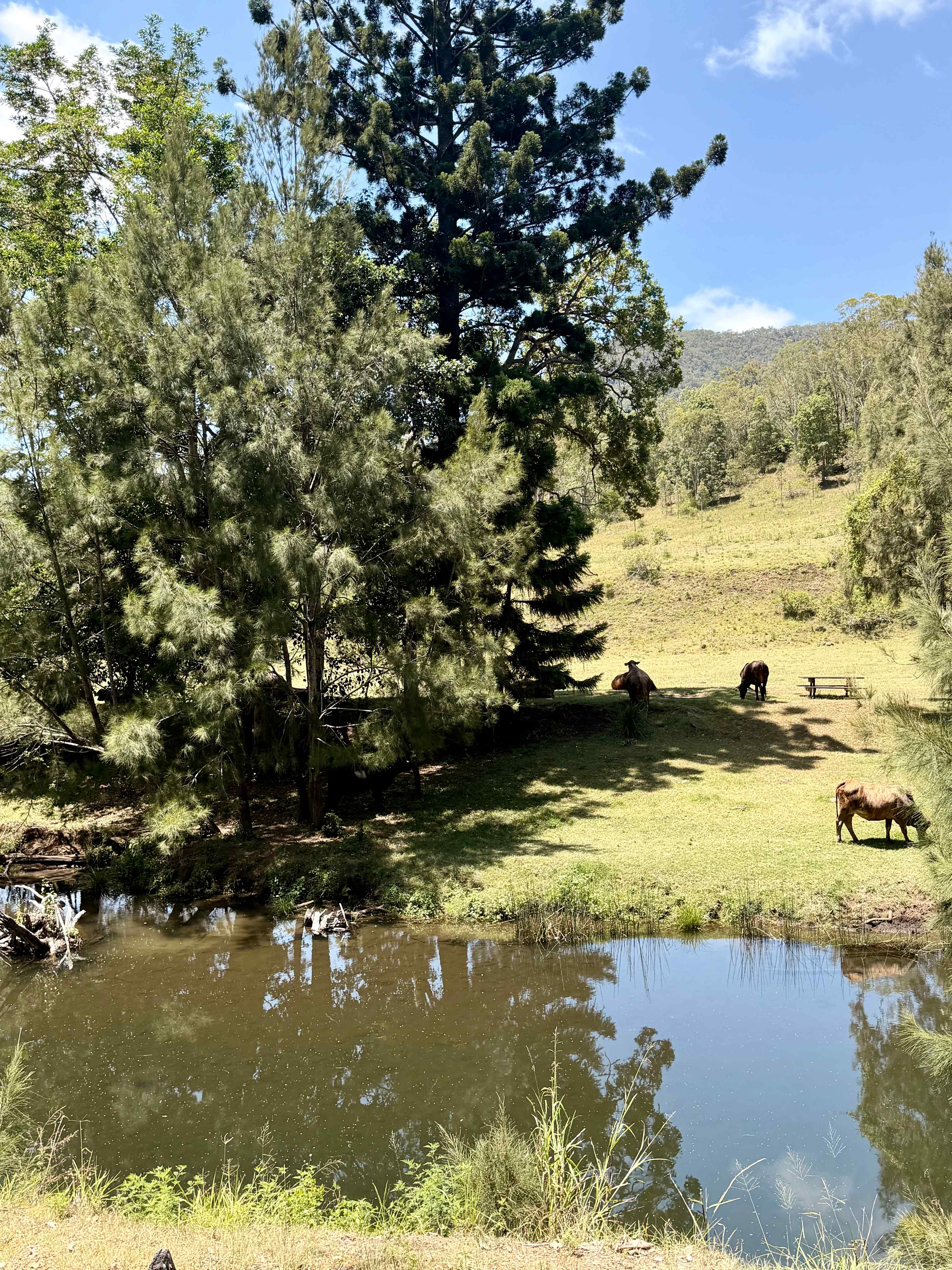 Christmas Creek Bush Retreat