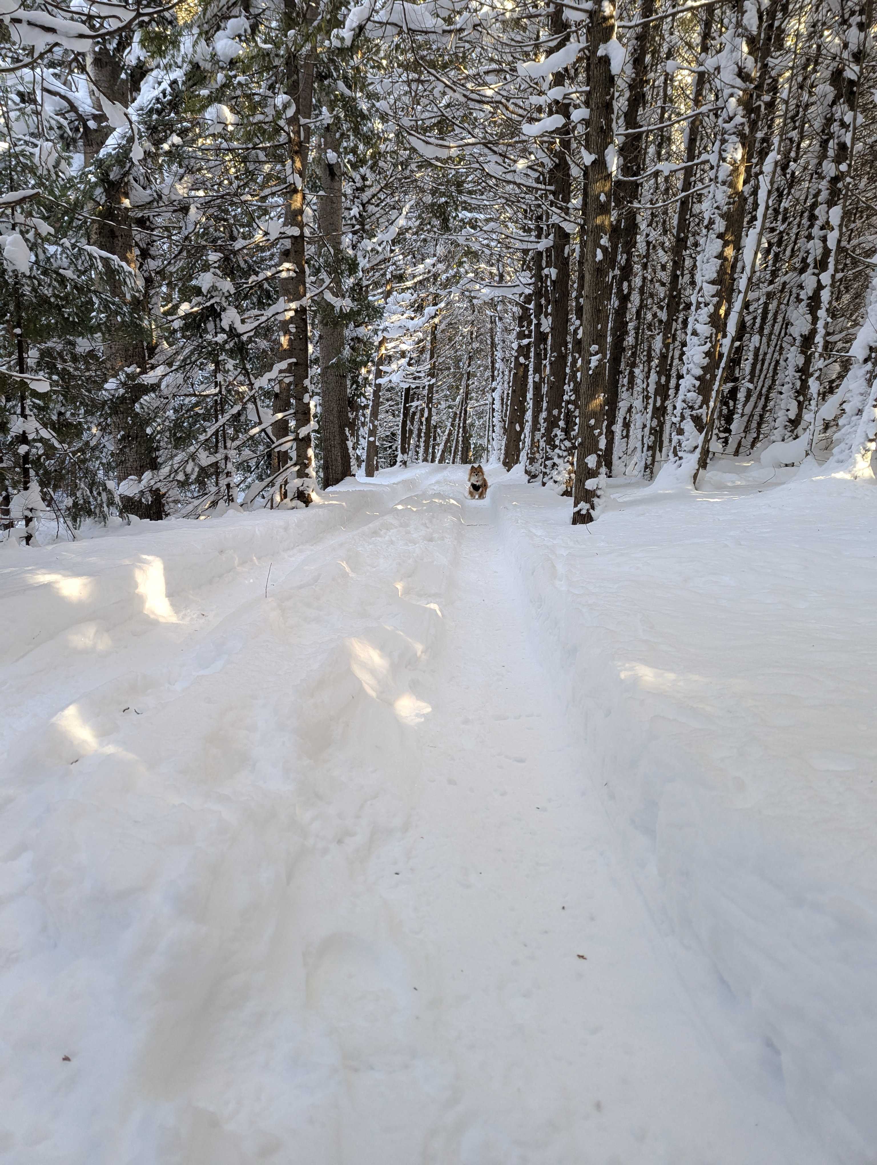 Edges Sideroad Springs