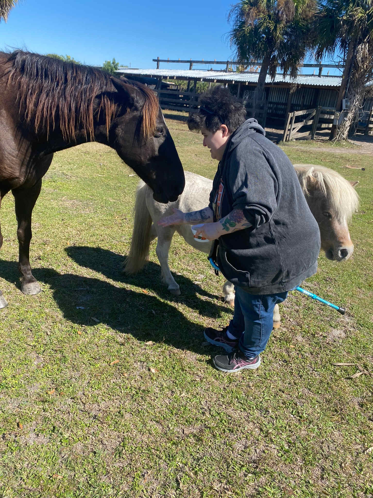 Blue Fox Ranch: Lake & Farm Camp
