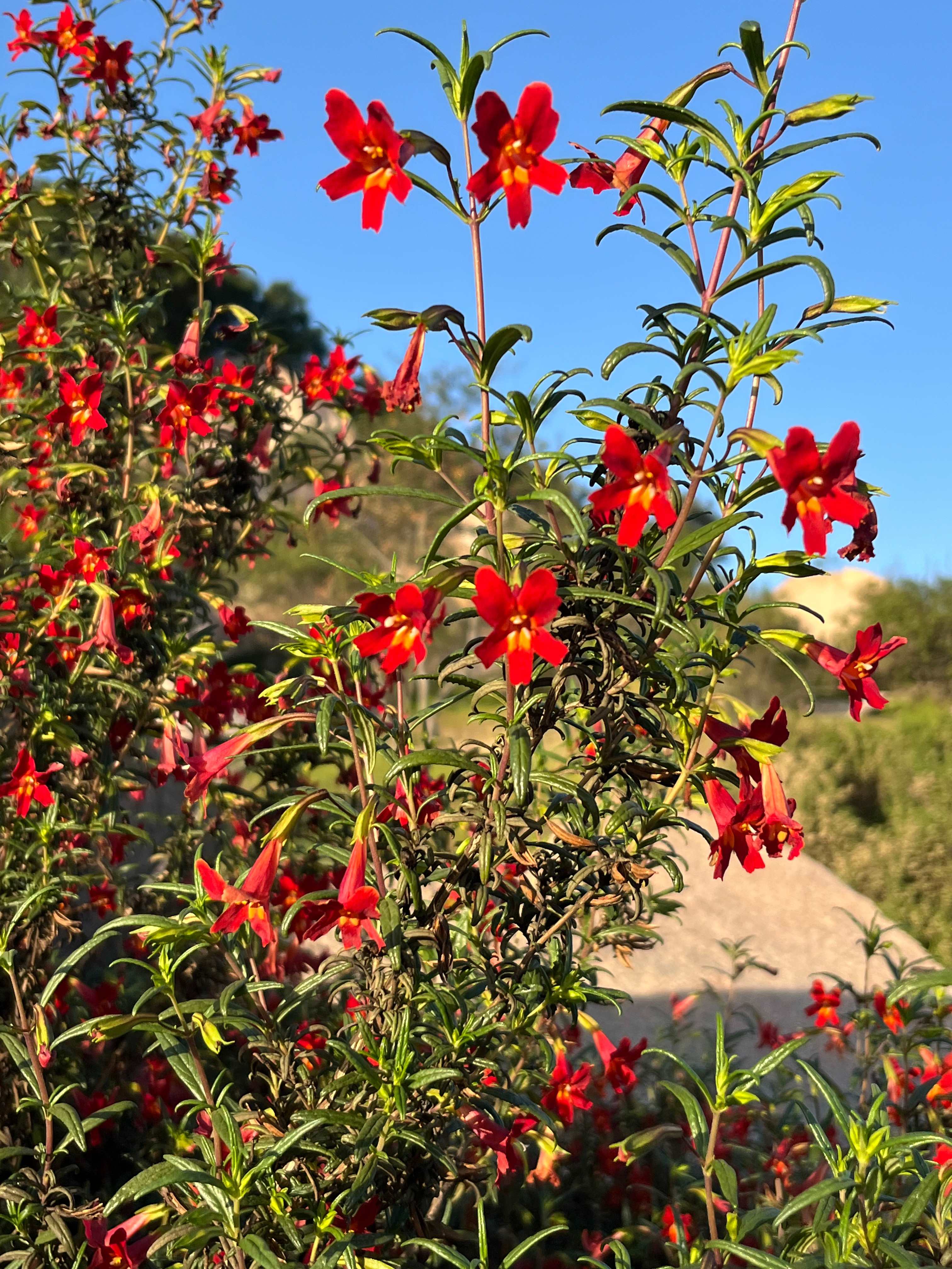 Splitrock Farm and Retreat