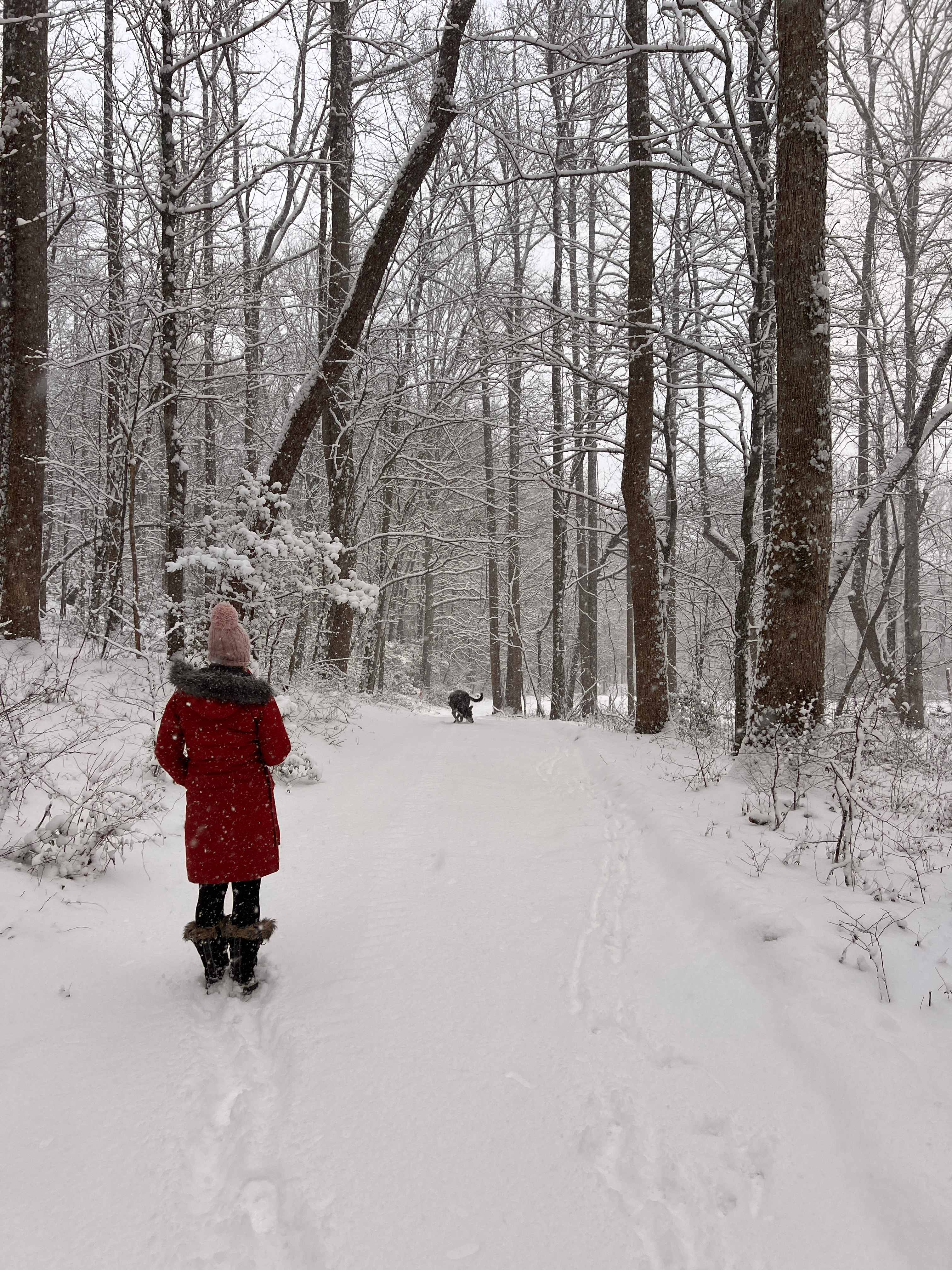 Tiny House in Happy Valley