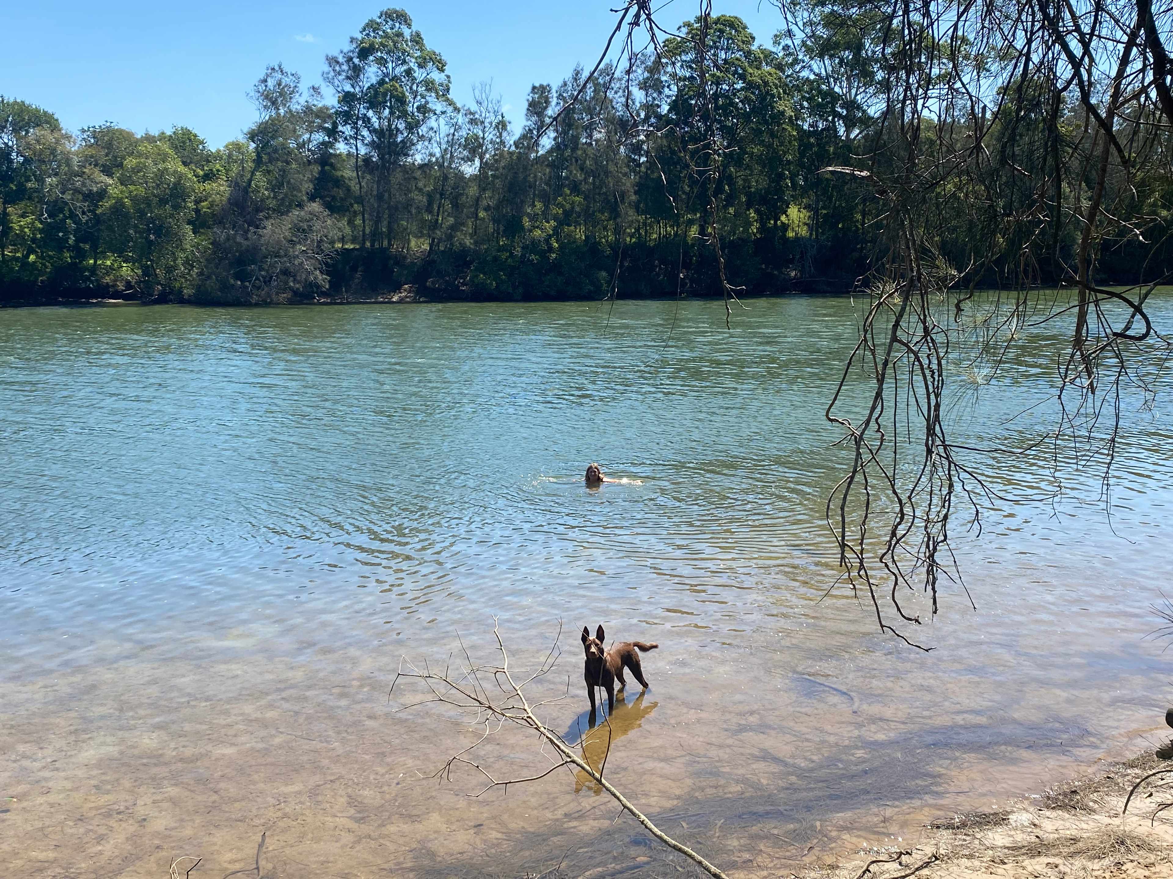 Riverlea Green,  Nambucca Valley