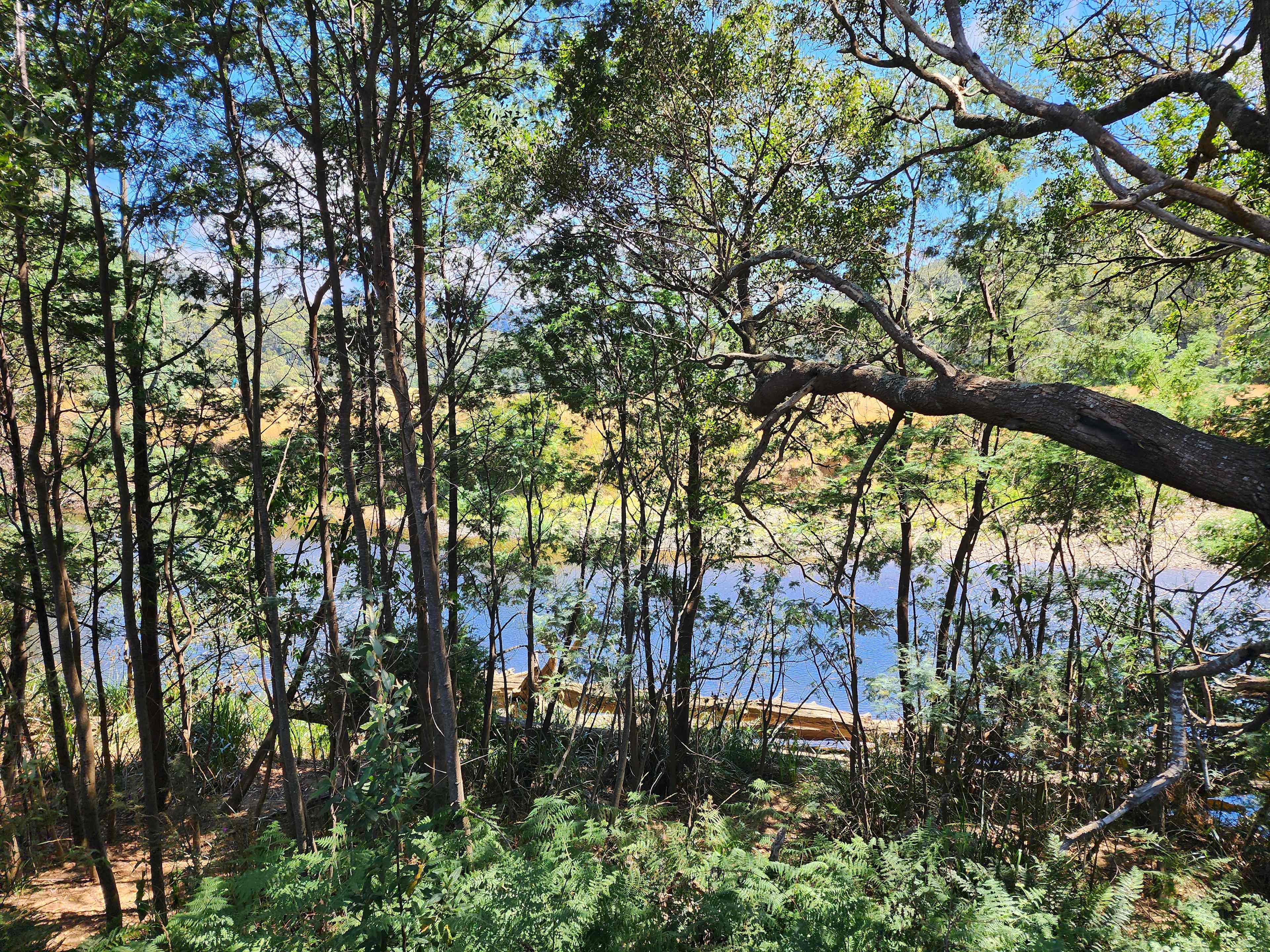 Leven River Camping On Wattle Farm