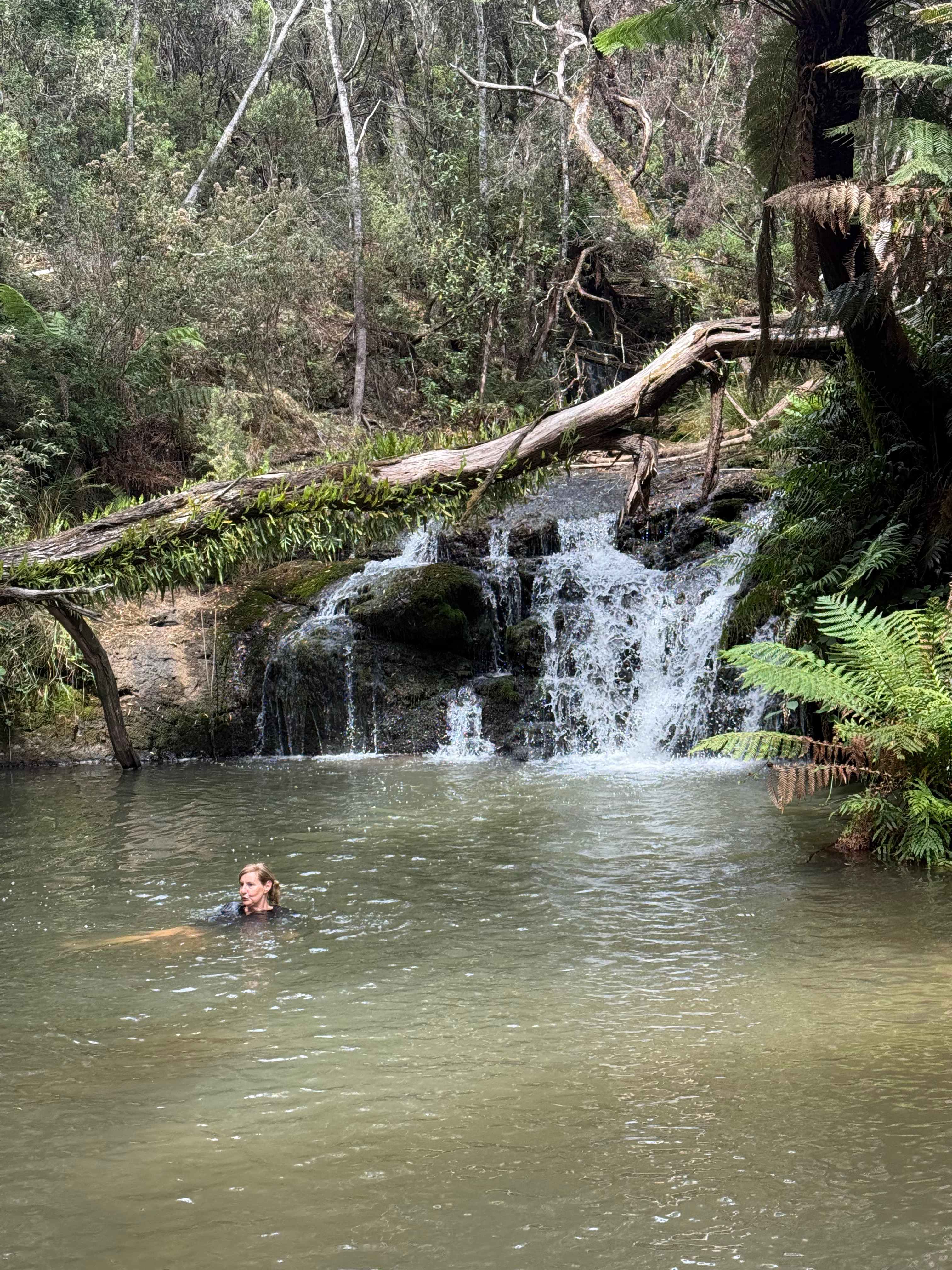 Very short walk to falls 