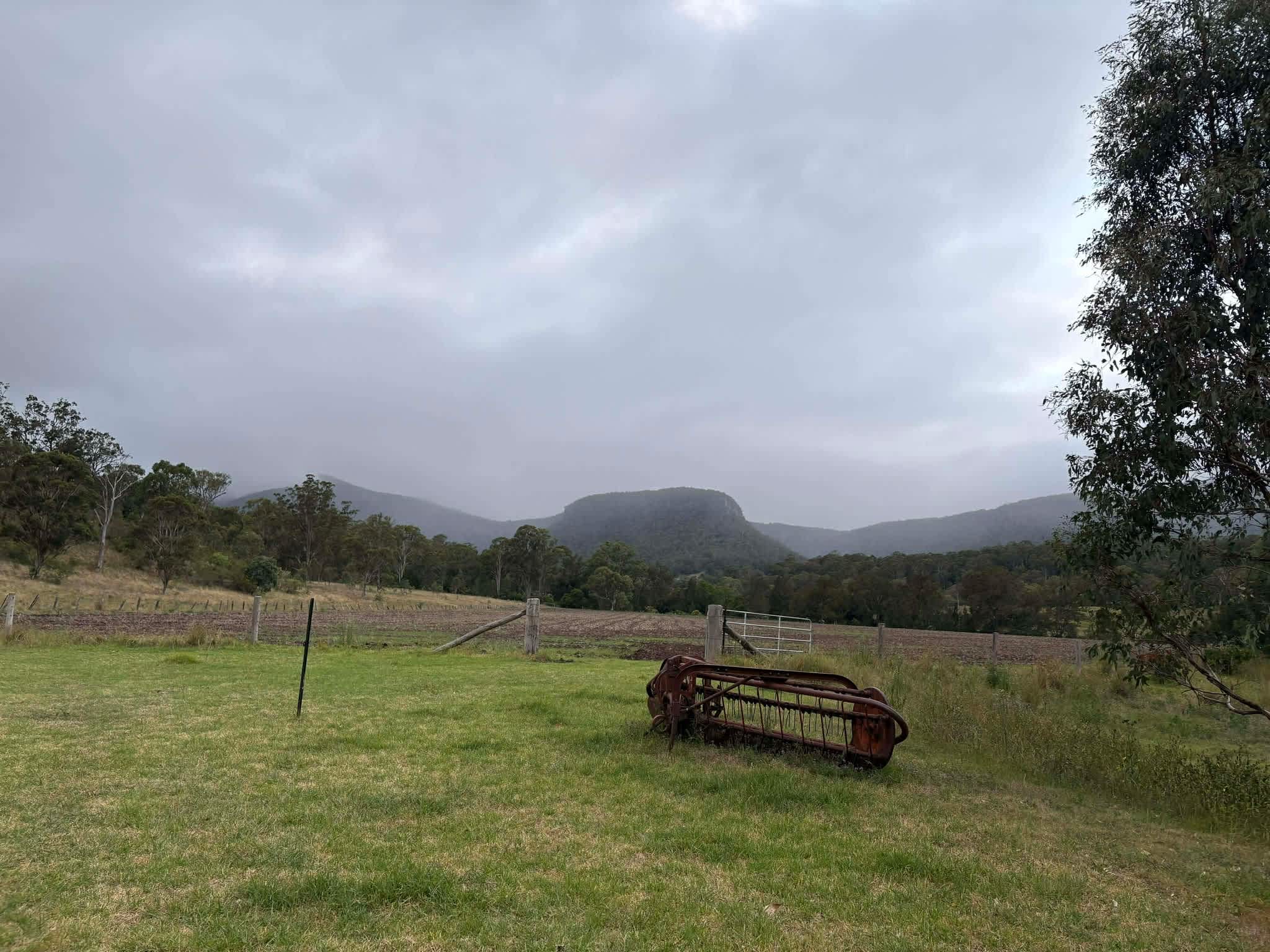 Wynola Country Cousins