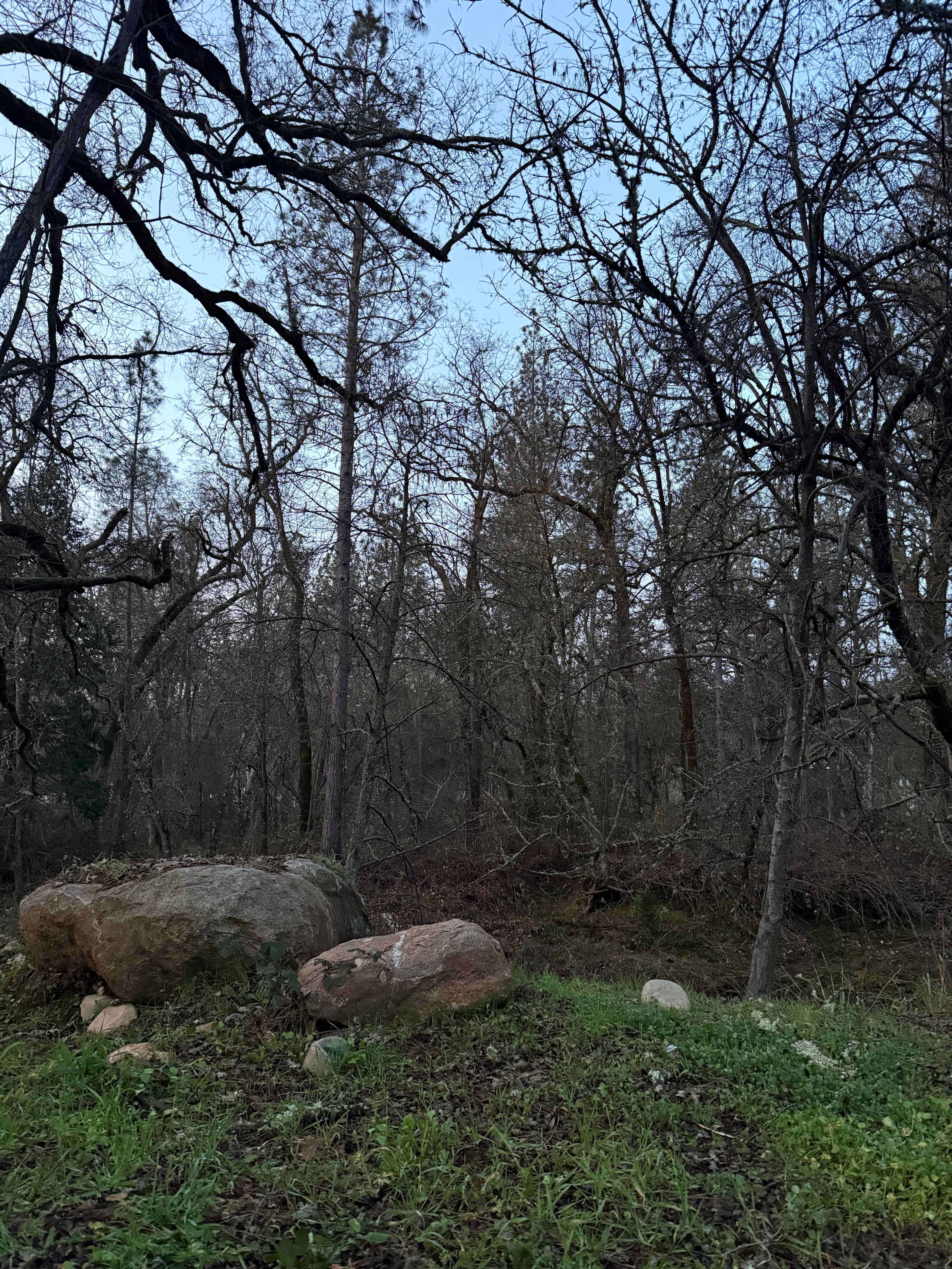 Camp Run Amuck Hollow