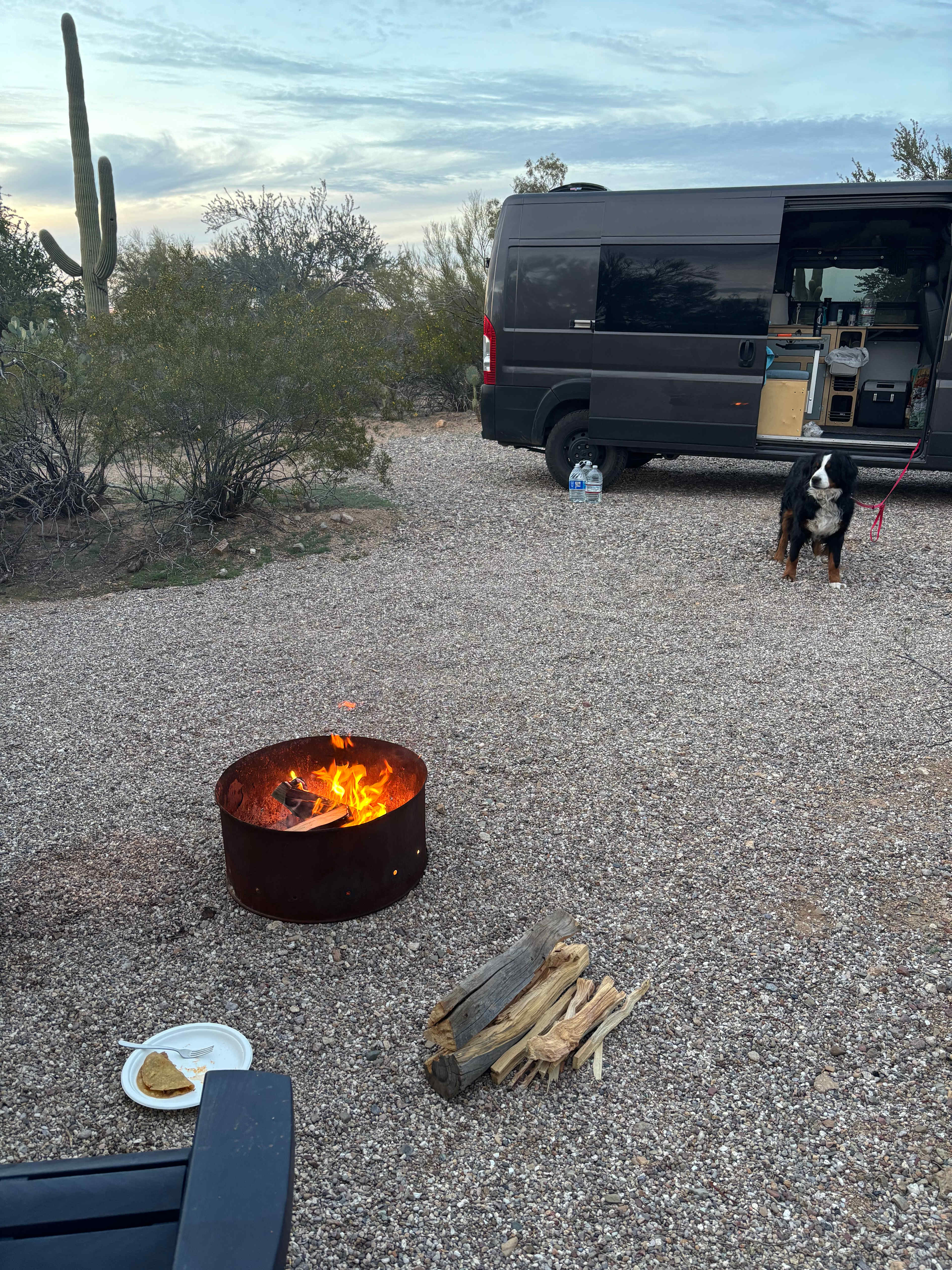 Camp Saguaro