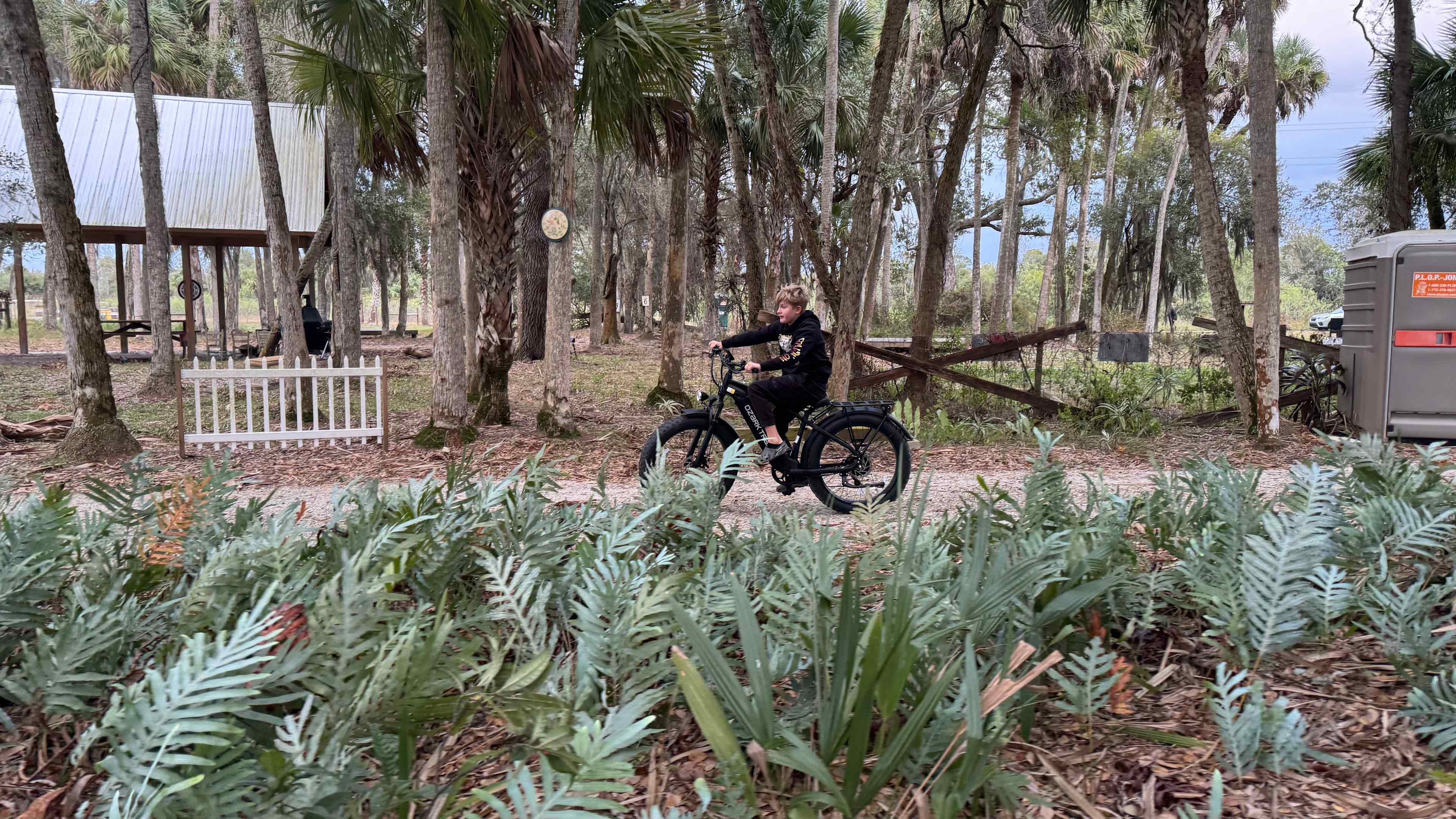 Taste of Old Florida