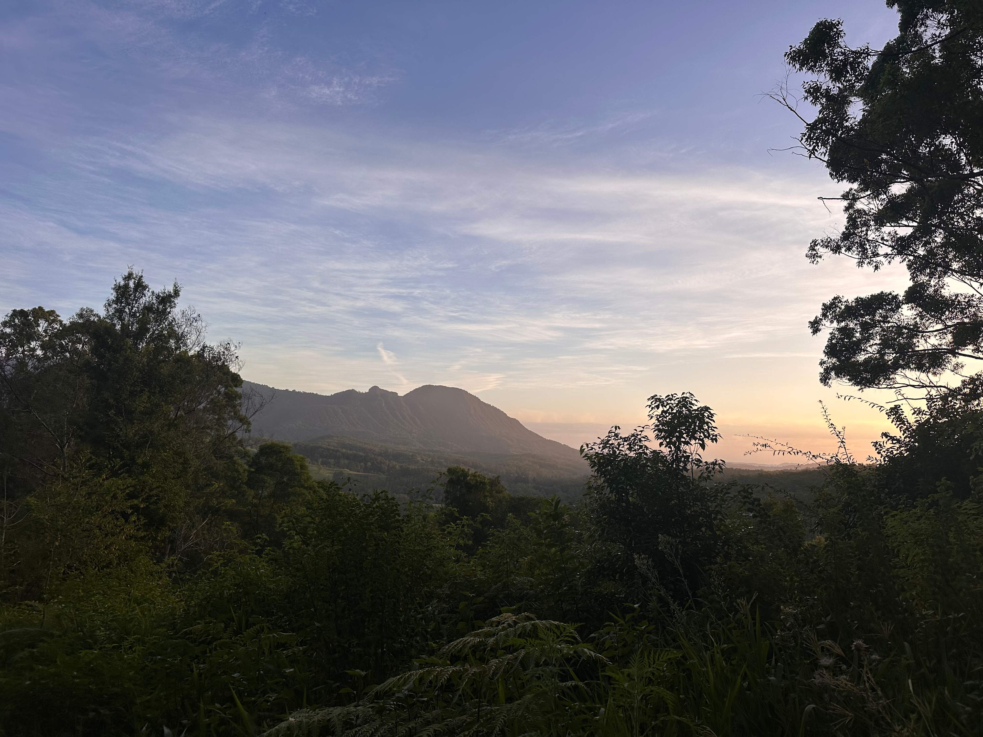 gorgeous walking tracks!