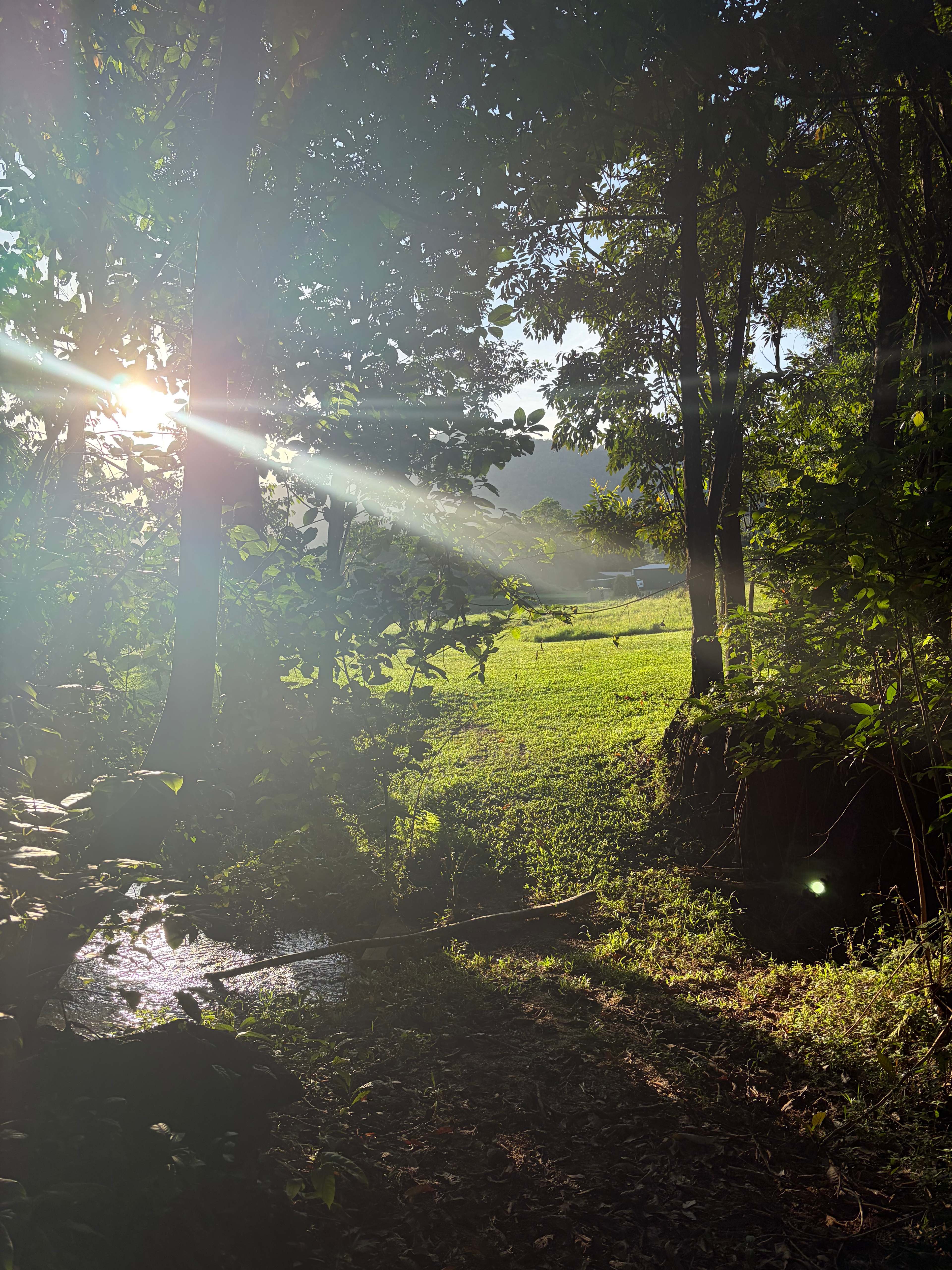 Tully Mountain ⛰️ Views