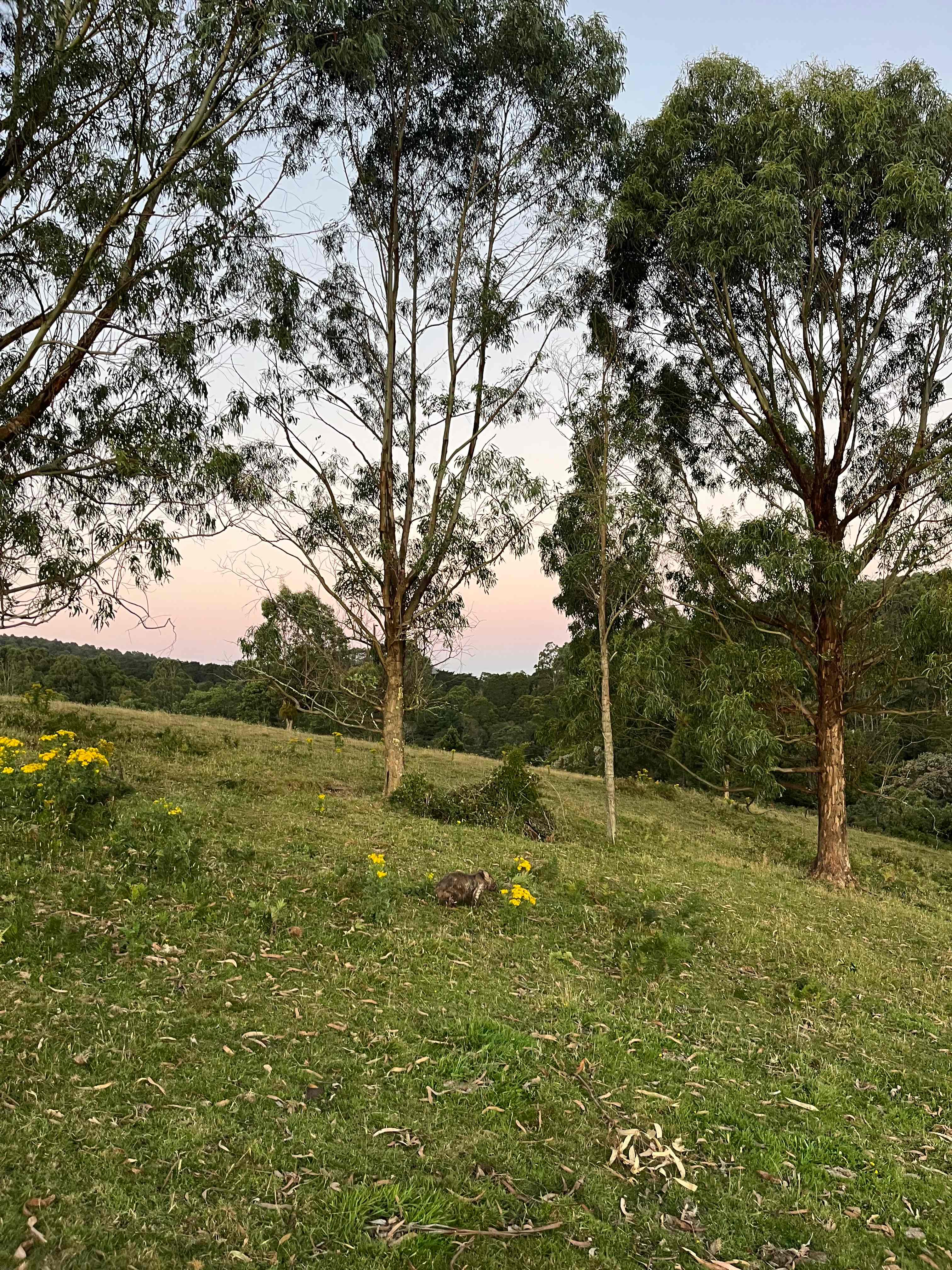 Mountain Life Retreat