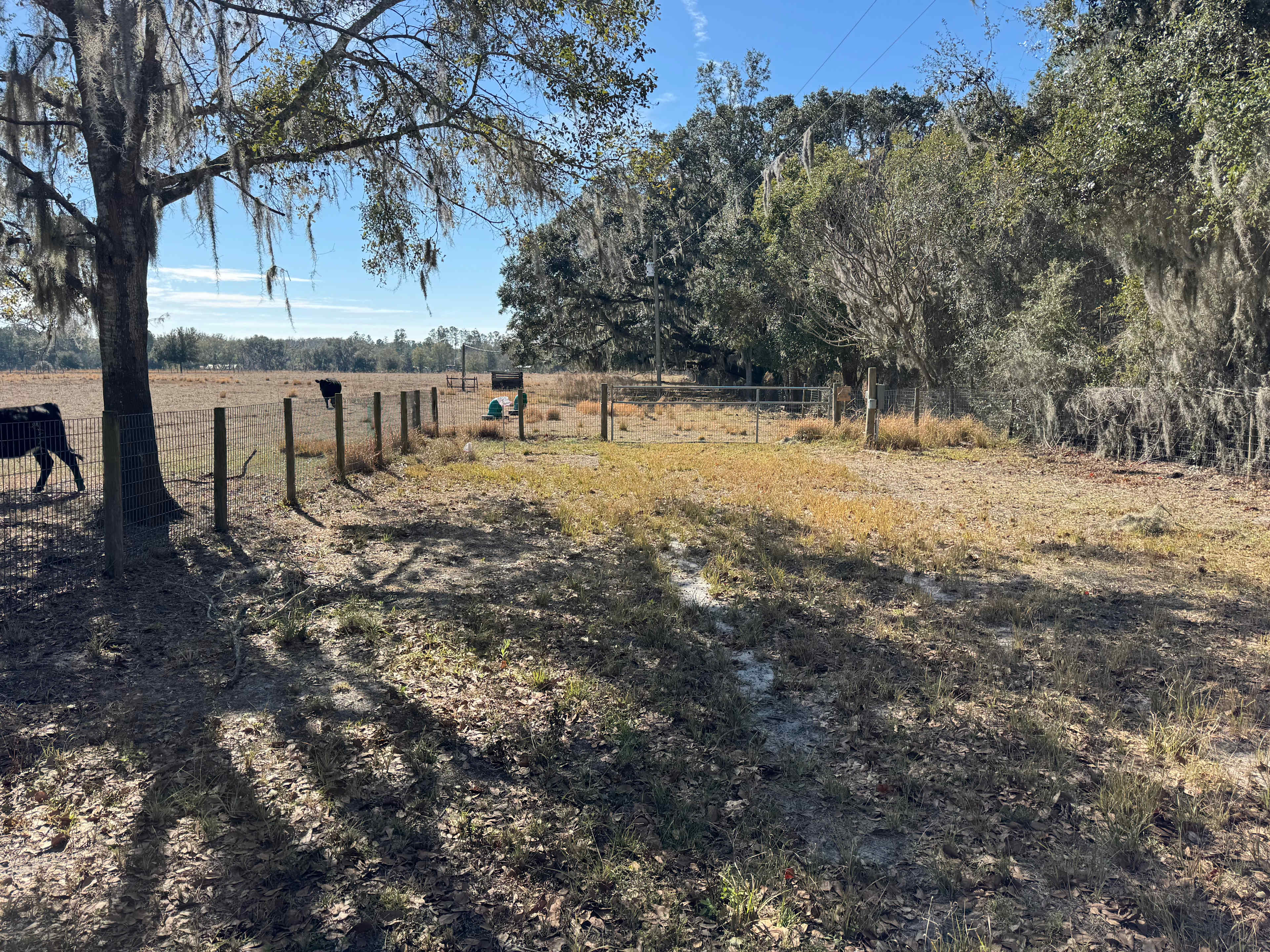 The Shepherd’s Meadow Farm