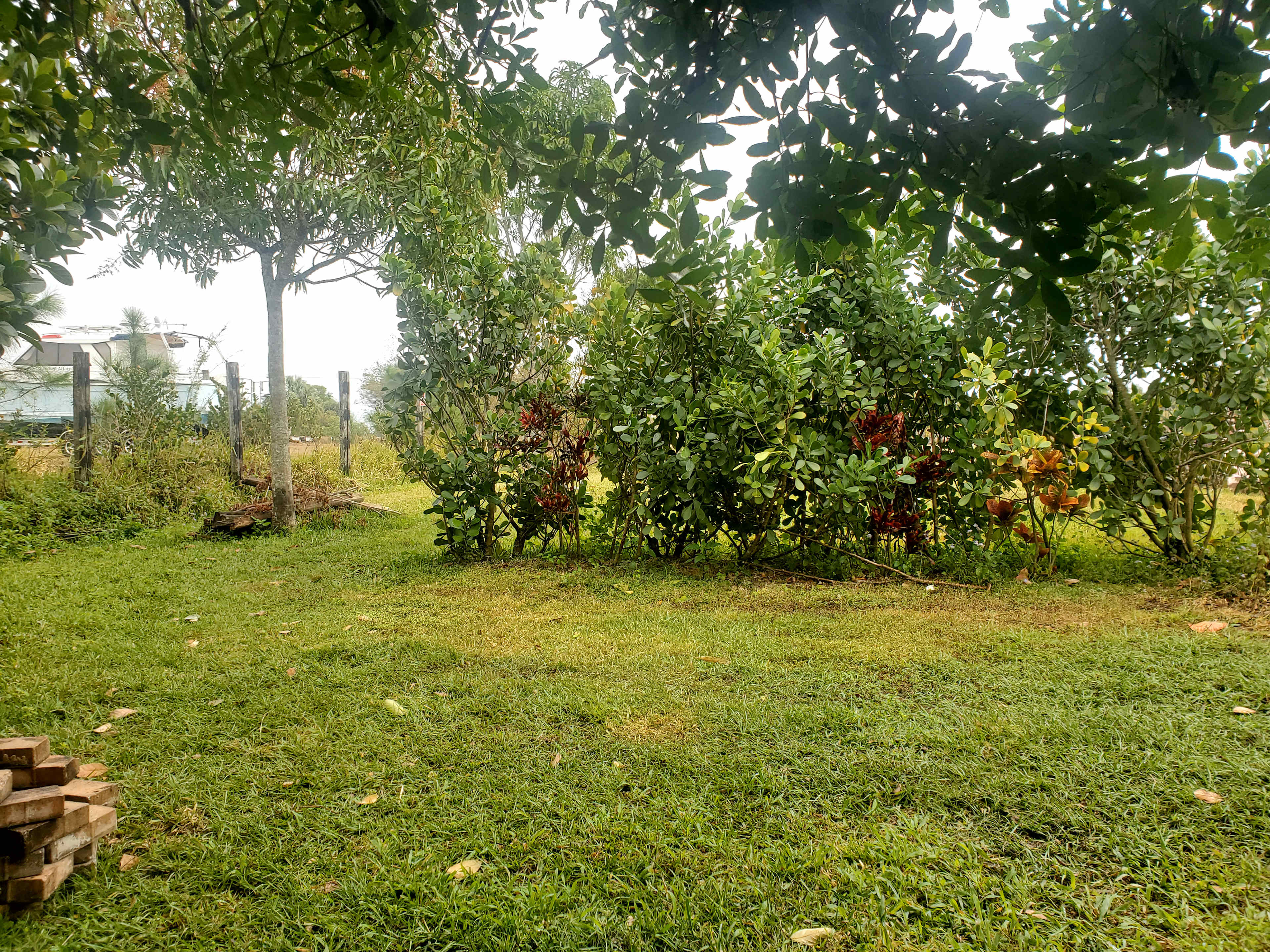 From my tent looking twards the road, or front of, property.