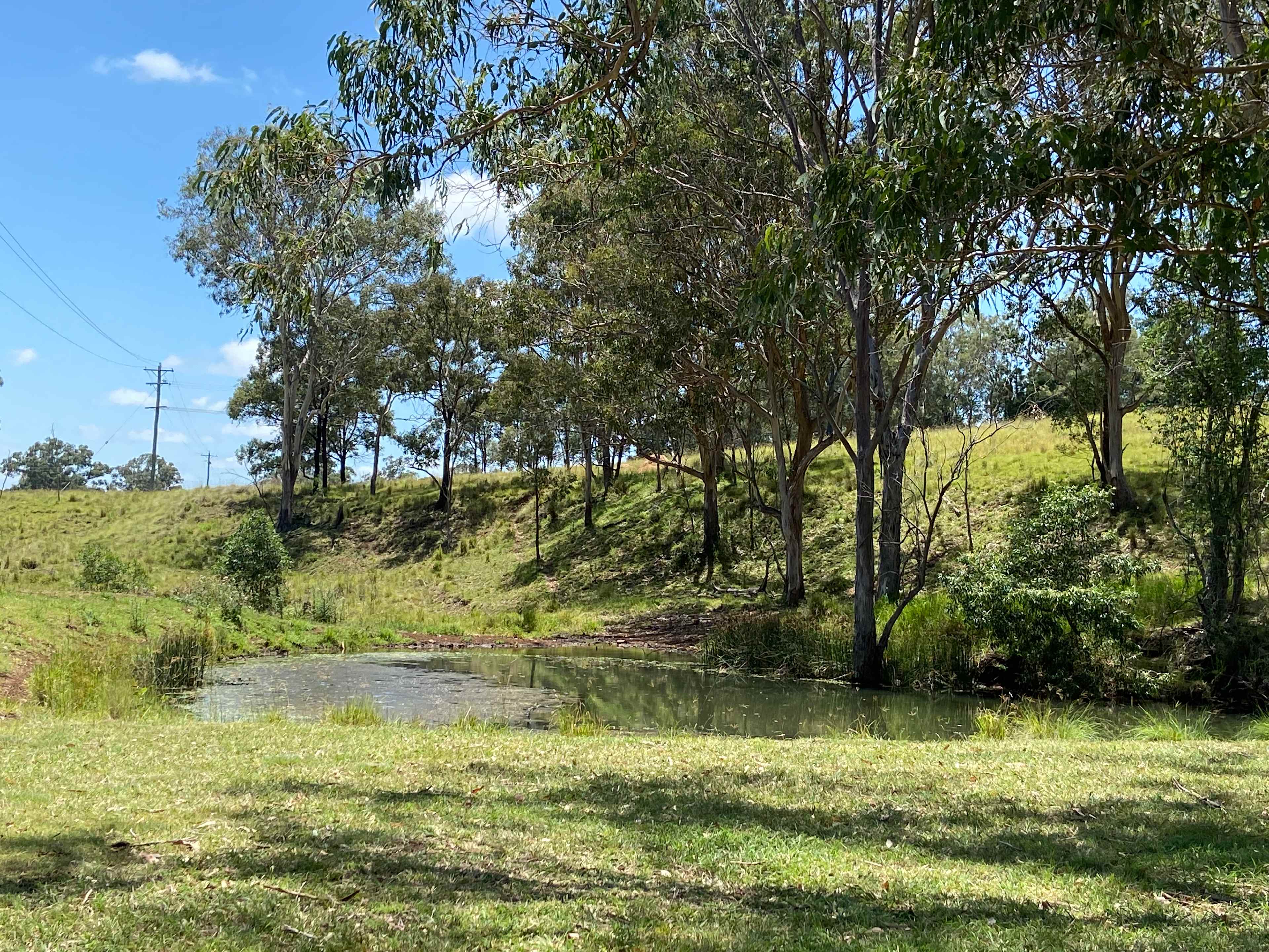 Empty Pockets creek-side Farm Stay