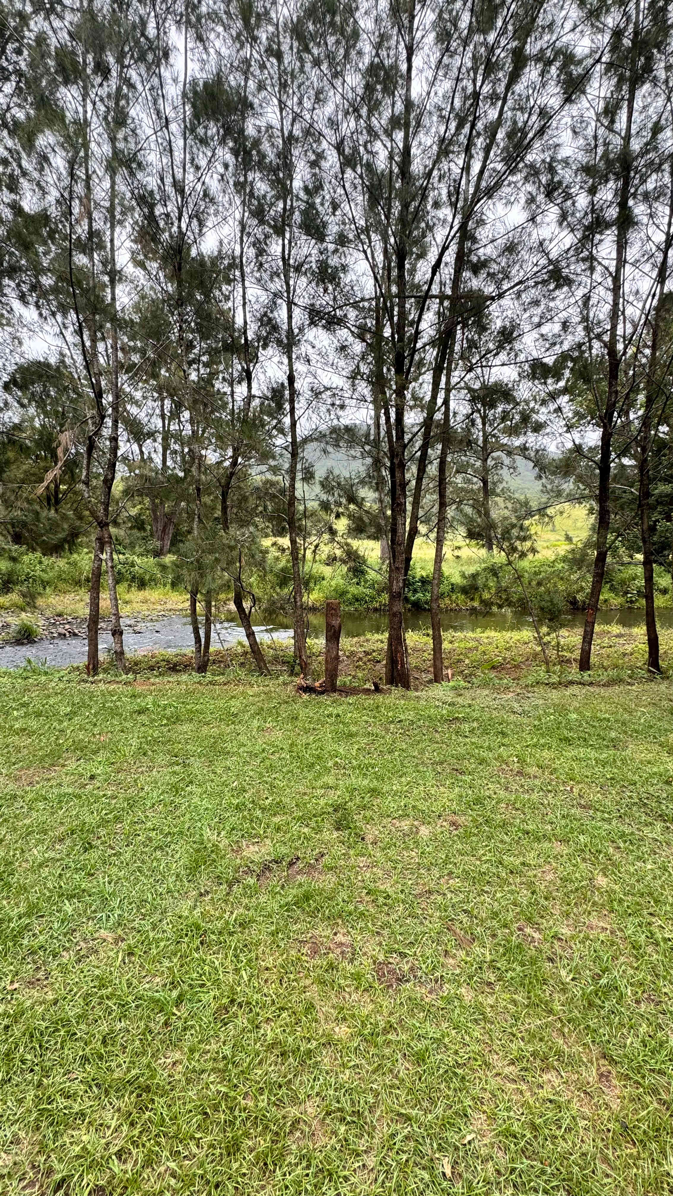 Mt Lion Farm Secluded Creek Camping