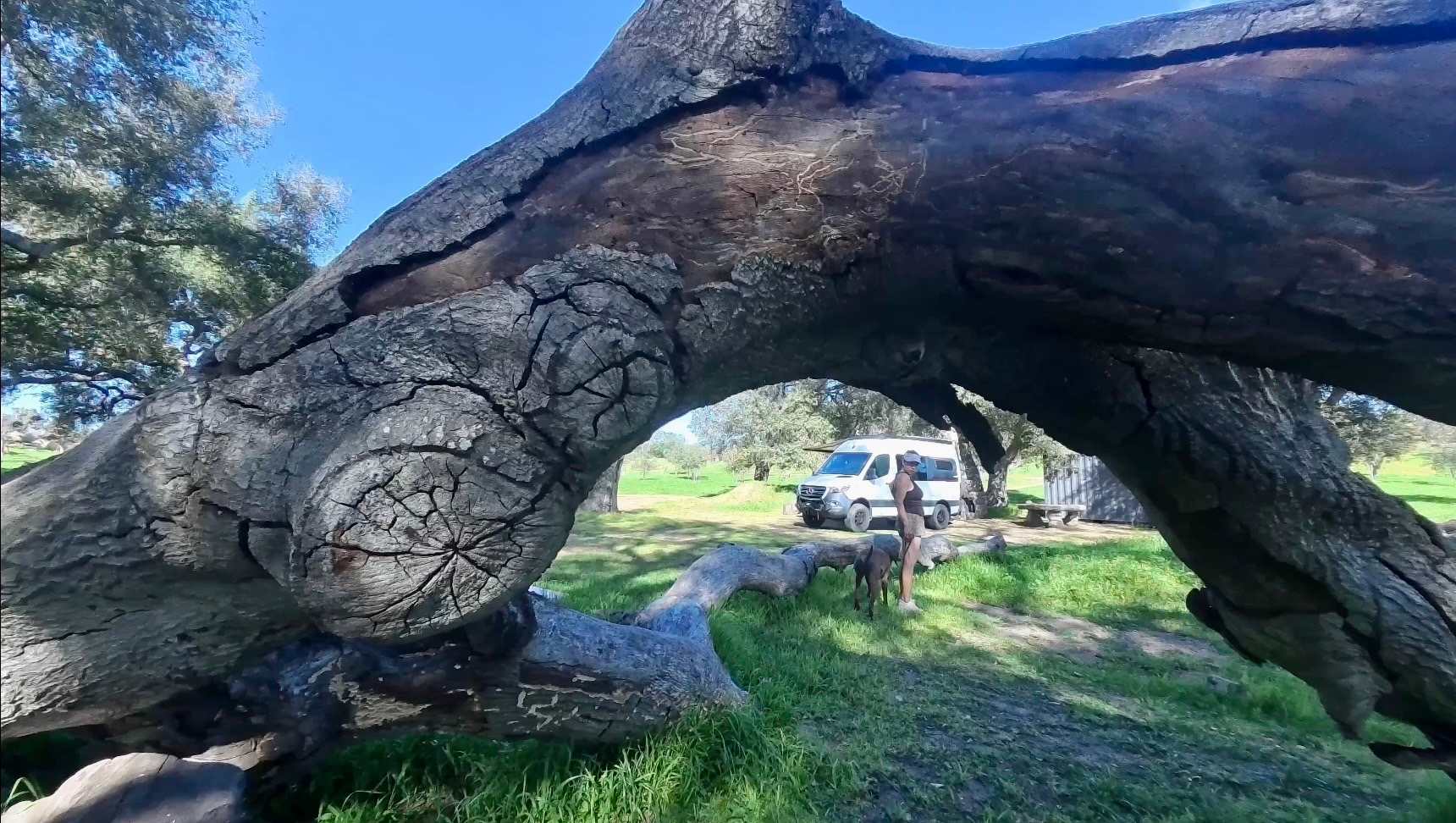 Splitrock Farm and Retreat