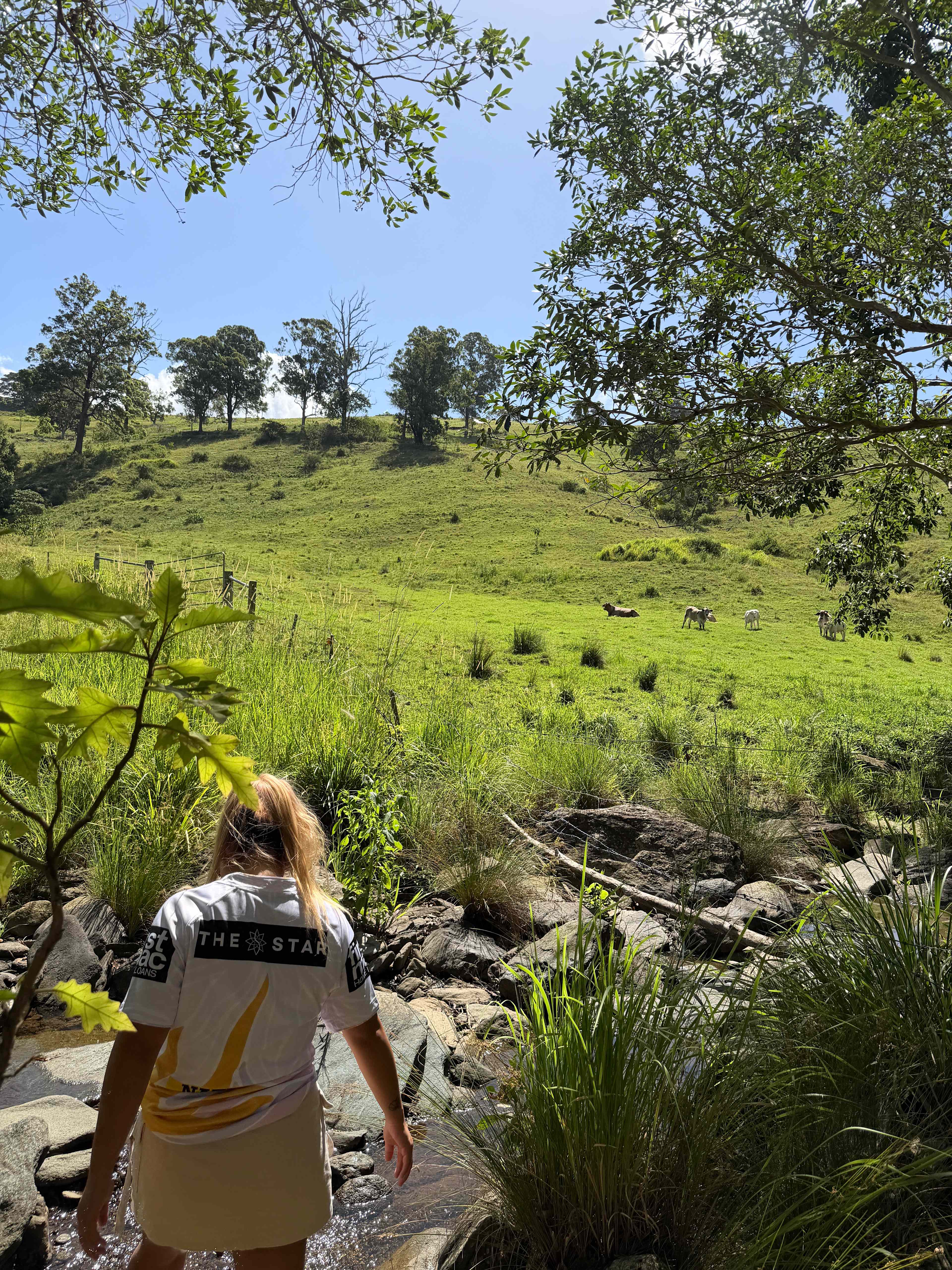 Walking along the creek, looking across to the cattle.