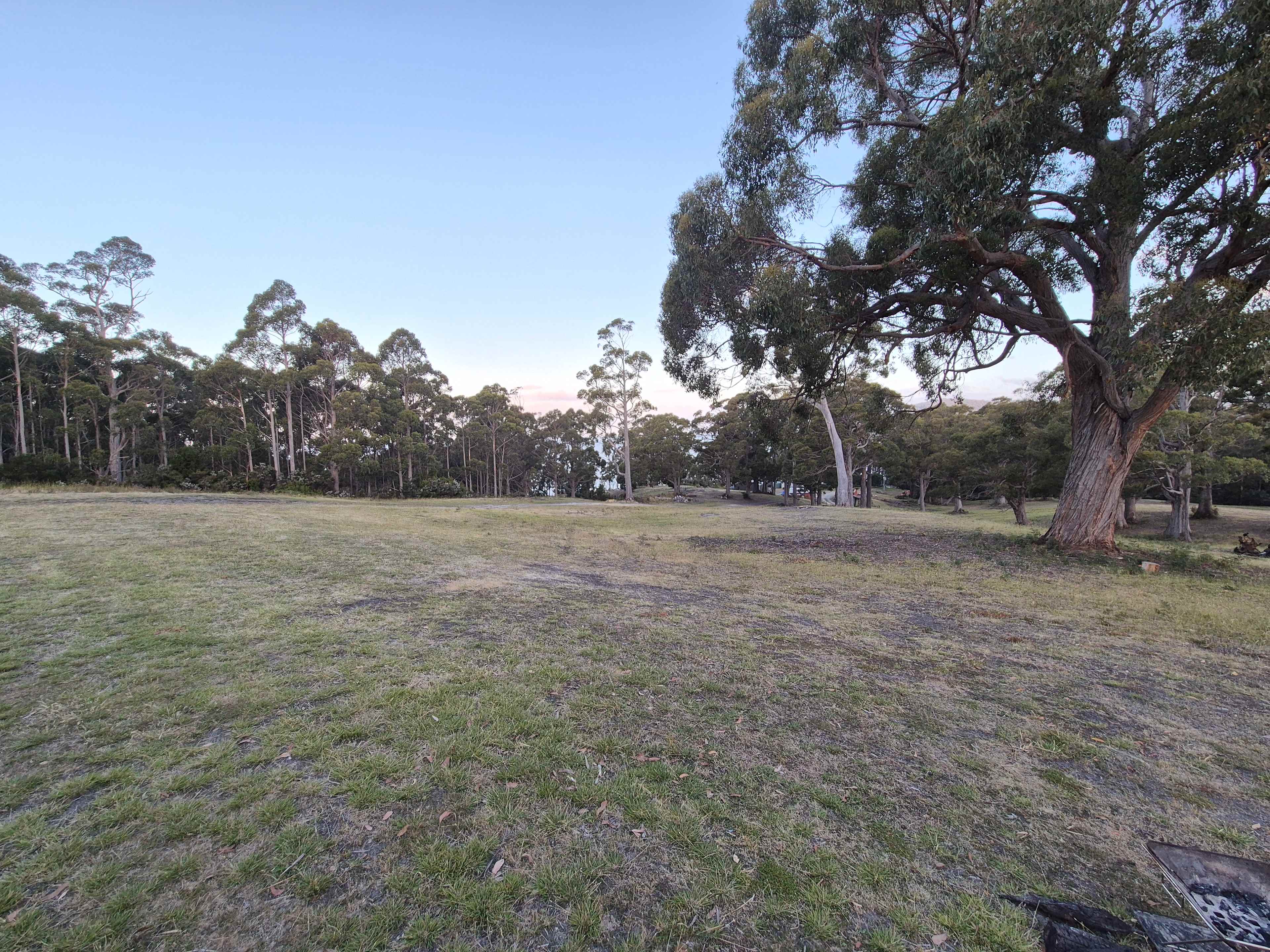 The view from our site.